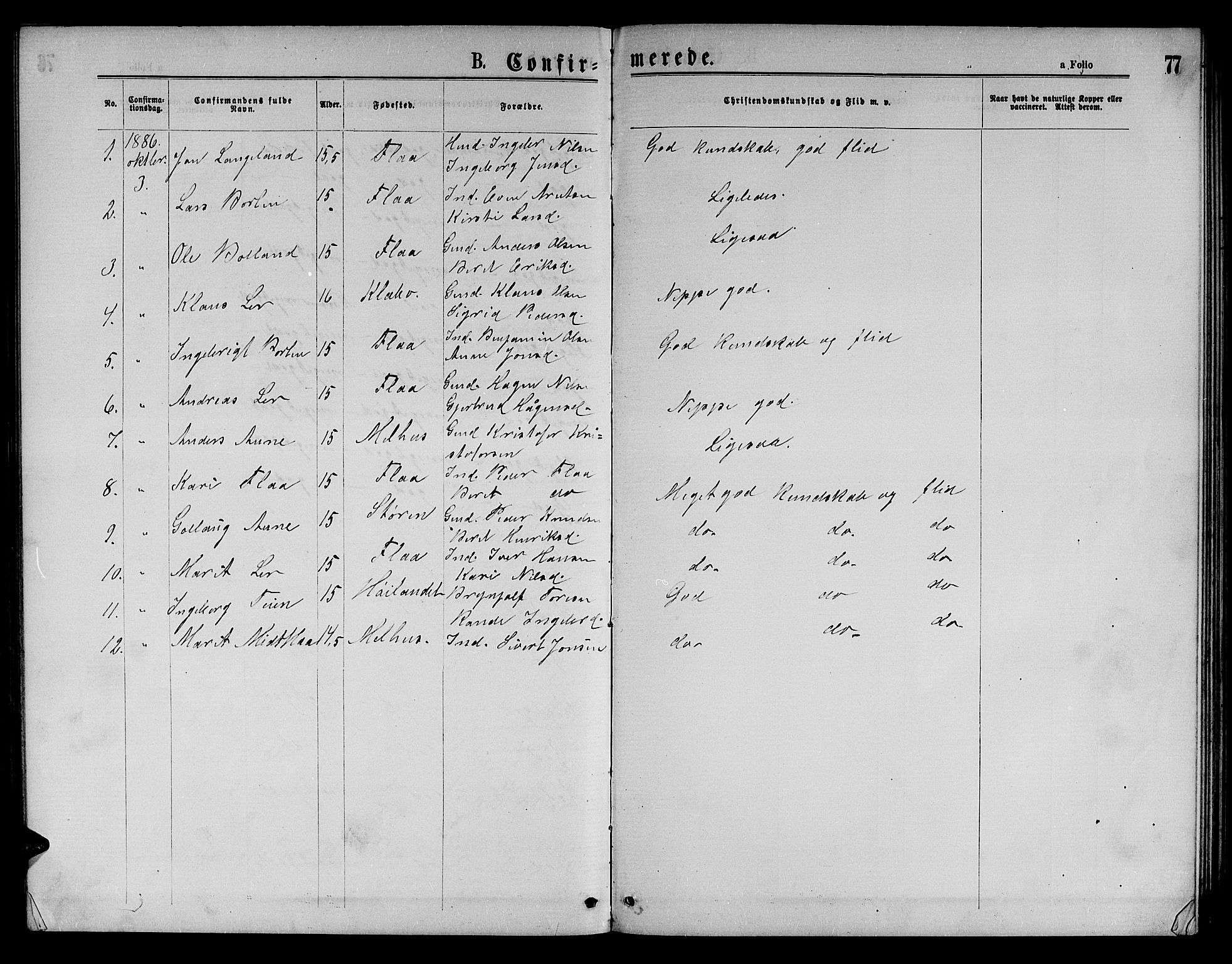 Ministerialprotokoller, klokkerbøker og fødselsregistre - Sør-Trøndelag, SAT/A-1456/693/L1122: Parish register (copy) no. 693C03, 1870-1886, p. 77