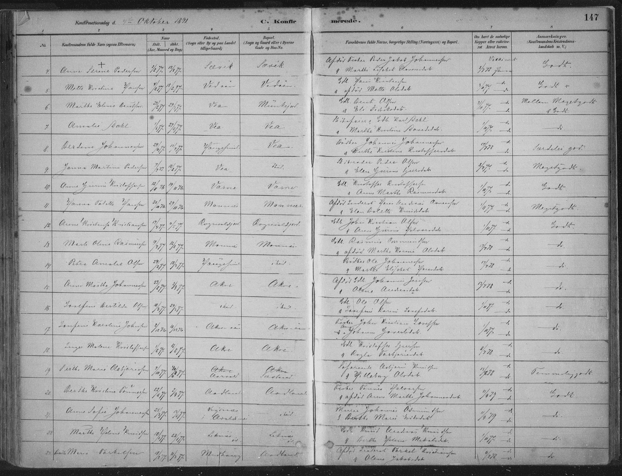Kopervik sokneprestkontor, SAST/A-101850/H/Ha/Haa/L0004: Parish register (official) no. A 4, 1882-1905, p. 147