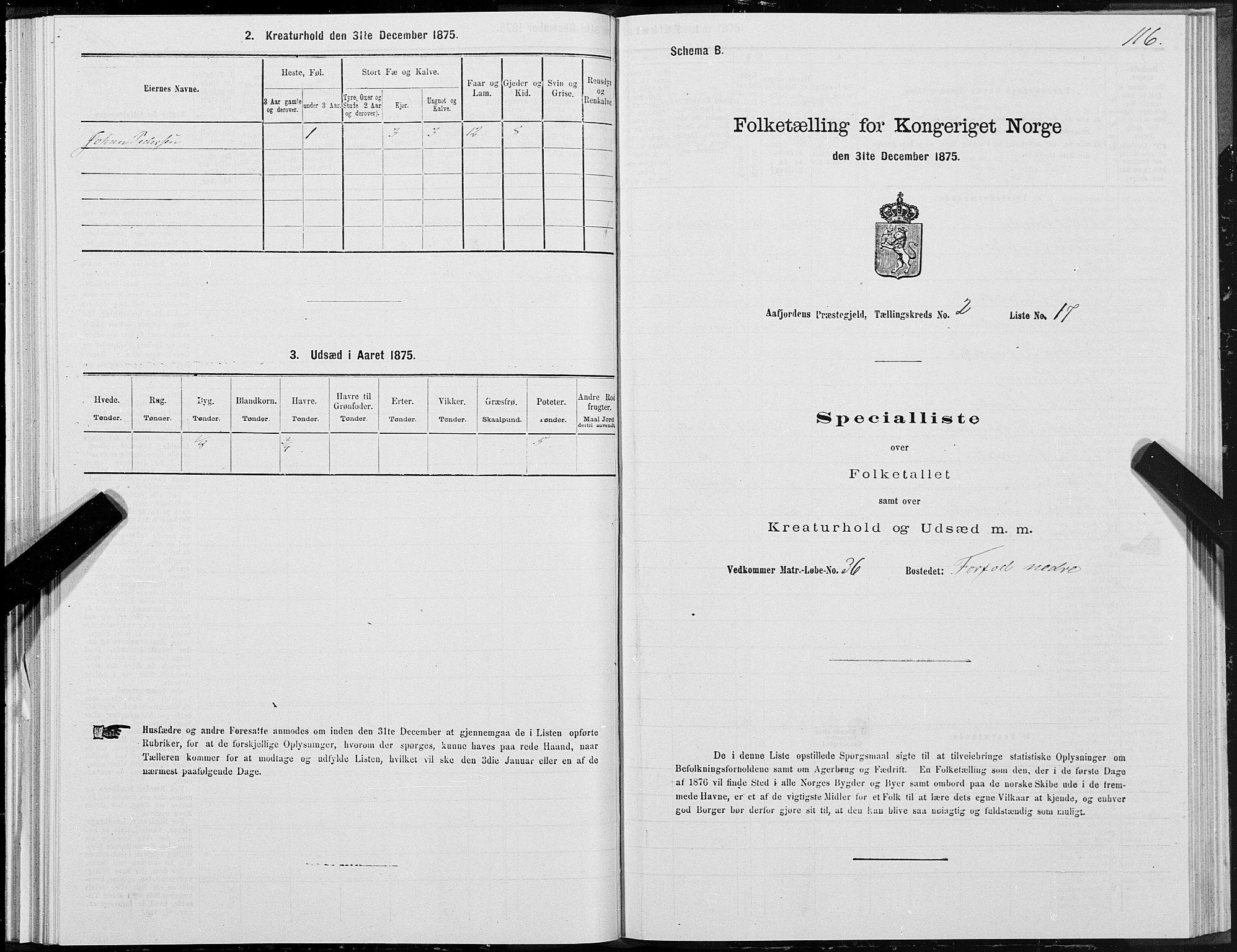 SAT, 1875 census for 1630P Aafjorden, 1875, p. 1116