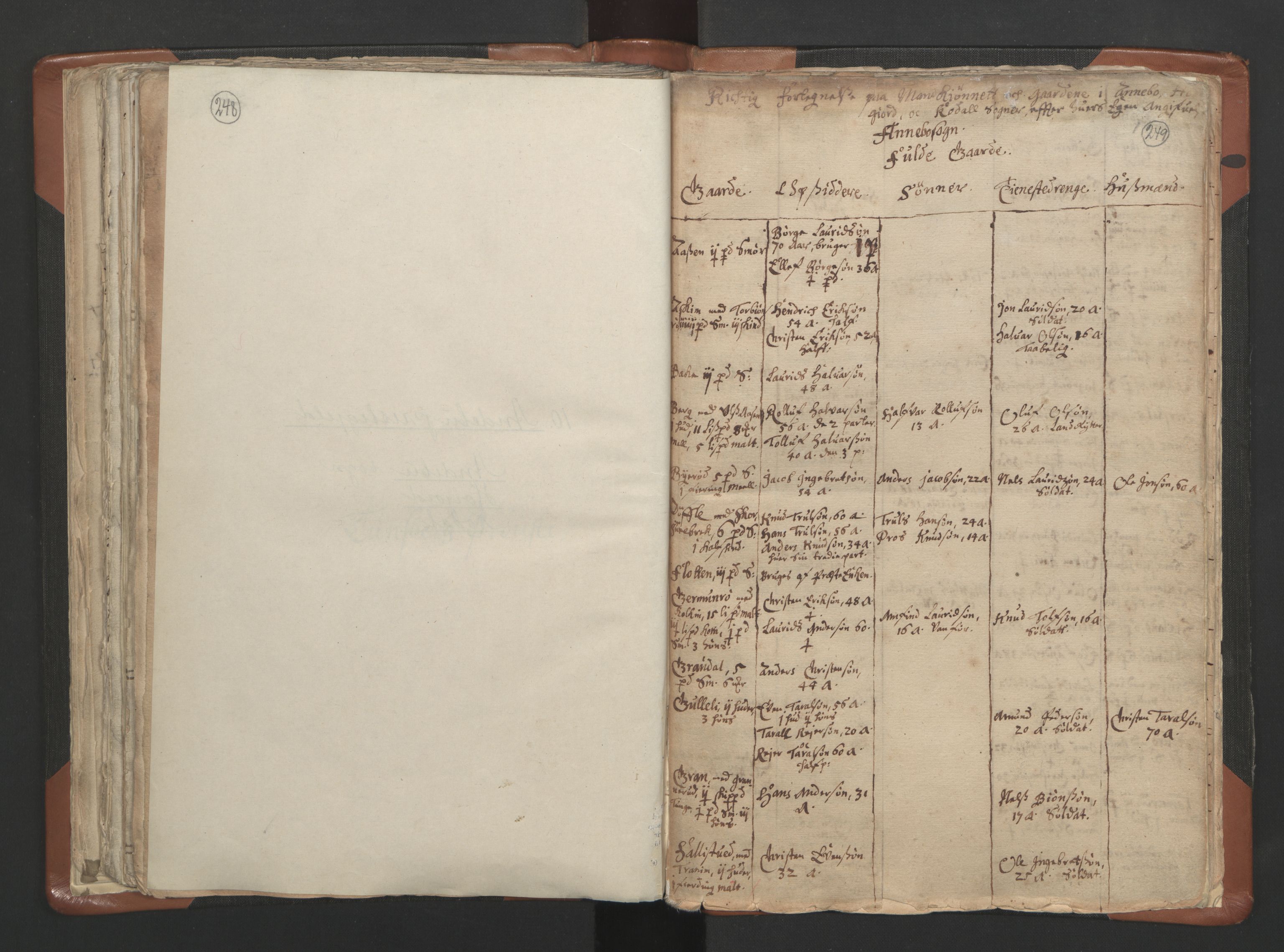 RA, Vicar's Census 1664-1666, no. 10: Tønsberg deanery, 1664-1666, p. 248-249