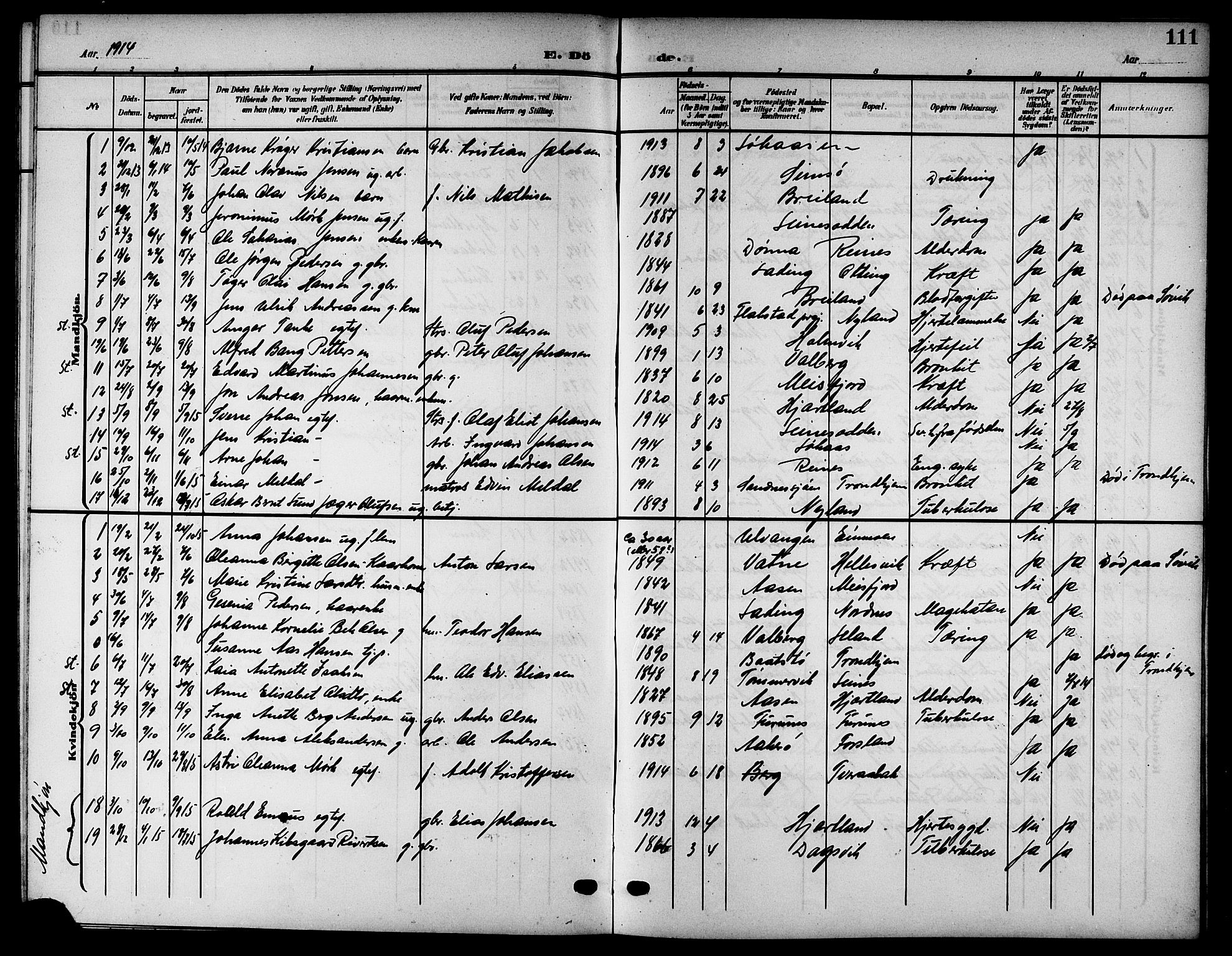 Ministerialprotokoller, klokkerbøker og fødselsregistre - Nordland, SAT/A-1459/832/L0494: Parish register (copy) no. 832C01, 1906-1922, p. 111