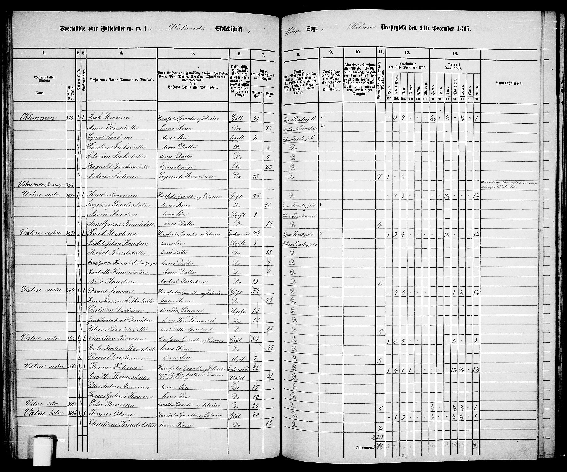 RA, 1865 census for Holum, 1865, p. 85