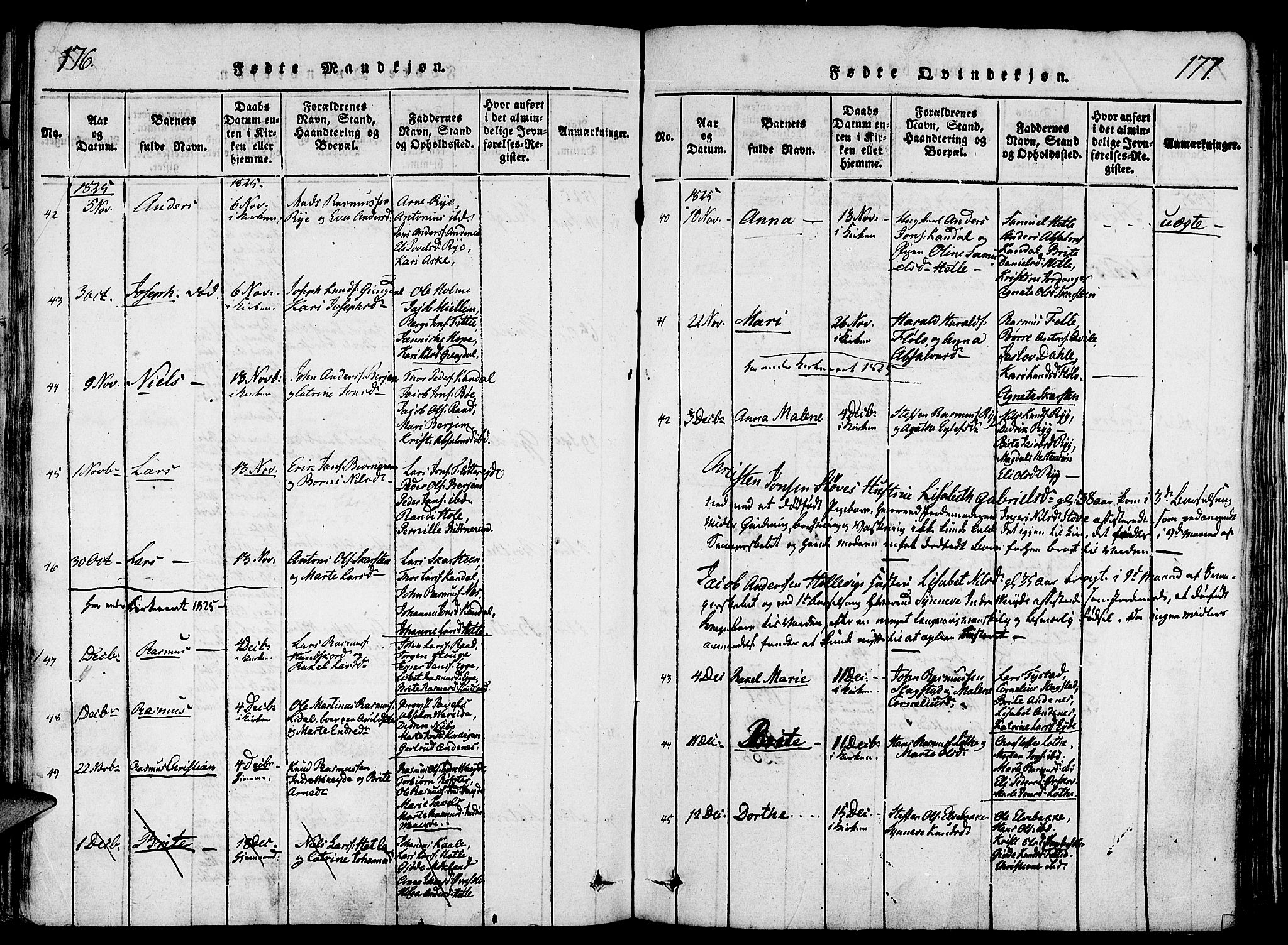 Gloppen sokneprestembete, AV/SAB-A-80101/H/Haa/Haaa/L0006: Parish register (official) no. A 6, 1816-1826, p. 176-177