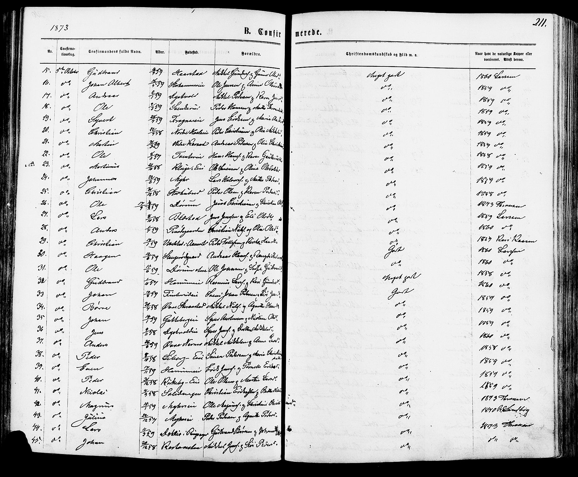 Vang prestekontor, Hedmark, AV/SAH-PREST-008/H/Ha/Haa/L0015: Parish register (official) no. 15, 1871-1885, p. 211