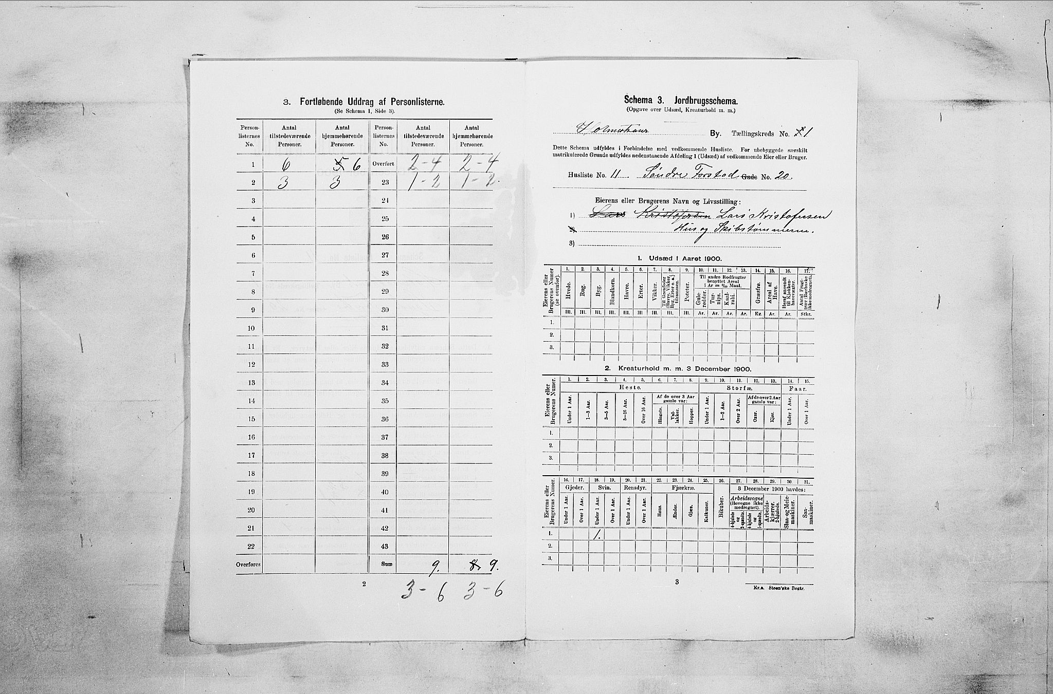 RA, 1900 census for Holmestrand, 1900, p. 25