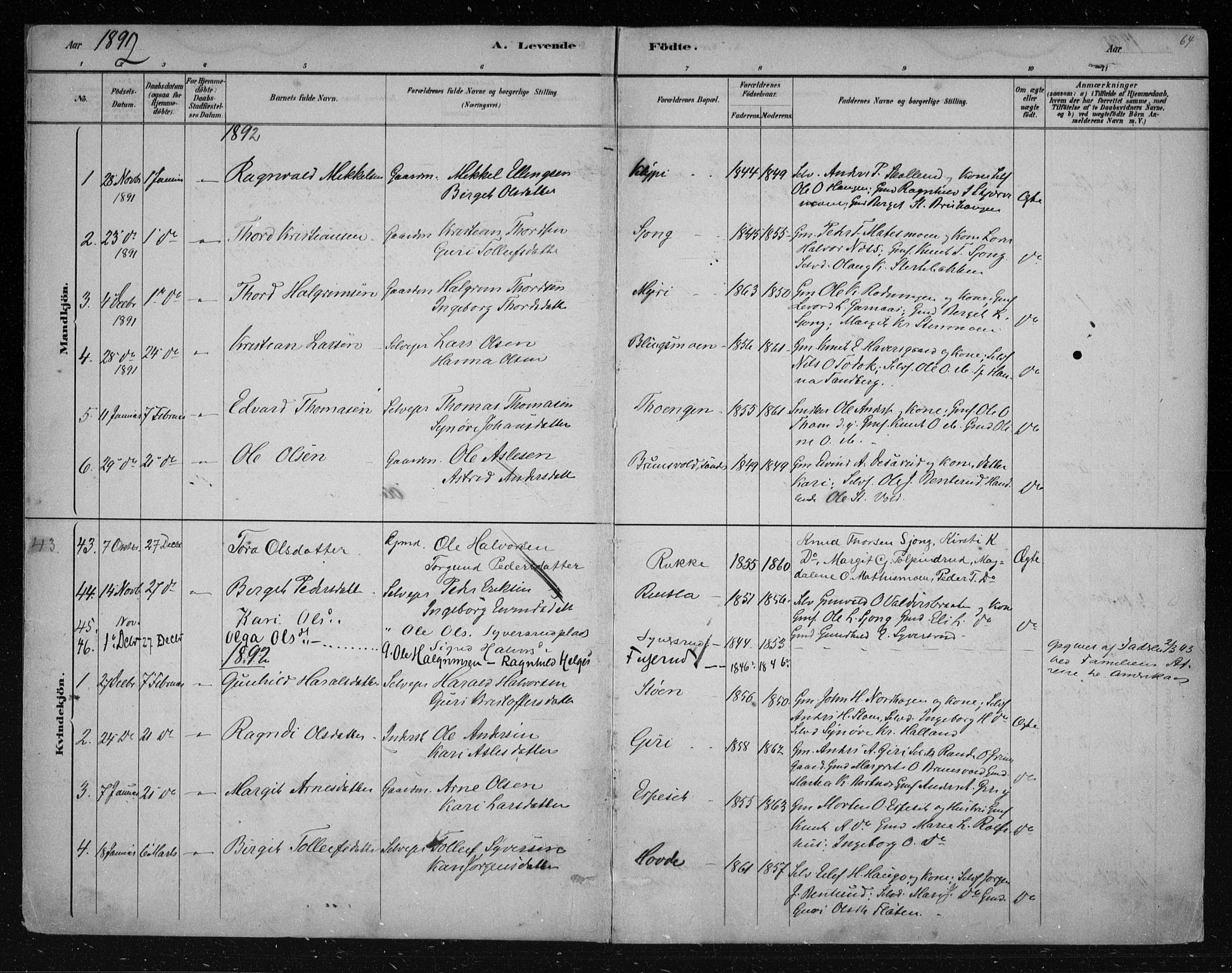 Nes kirkebøker, SAKO/A-236/F/Fa/L0011: Parish register (official) no. 11, 1881-1912, p. 64