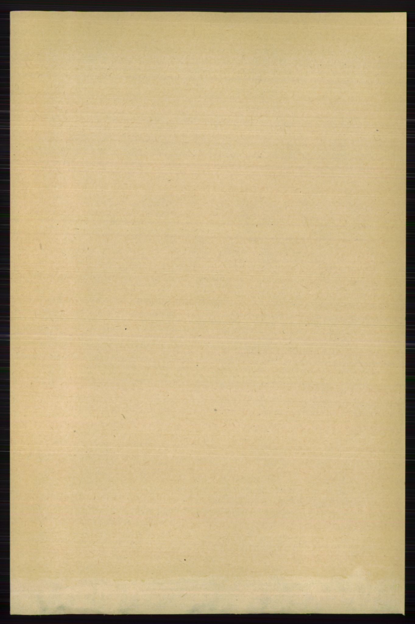 RA, 1891 census for 0625 Nedre Eiker, 1891, p. 3951