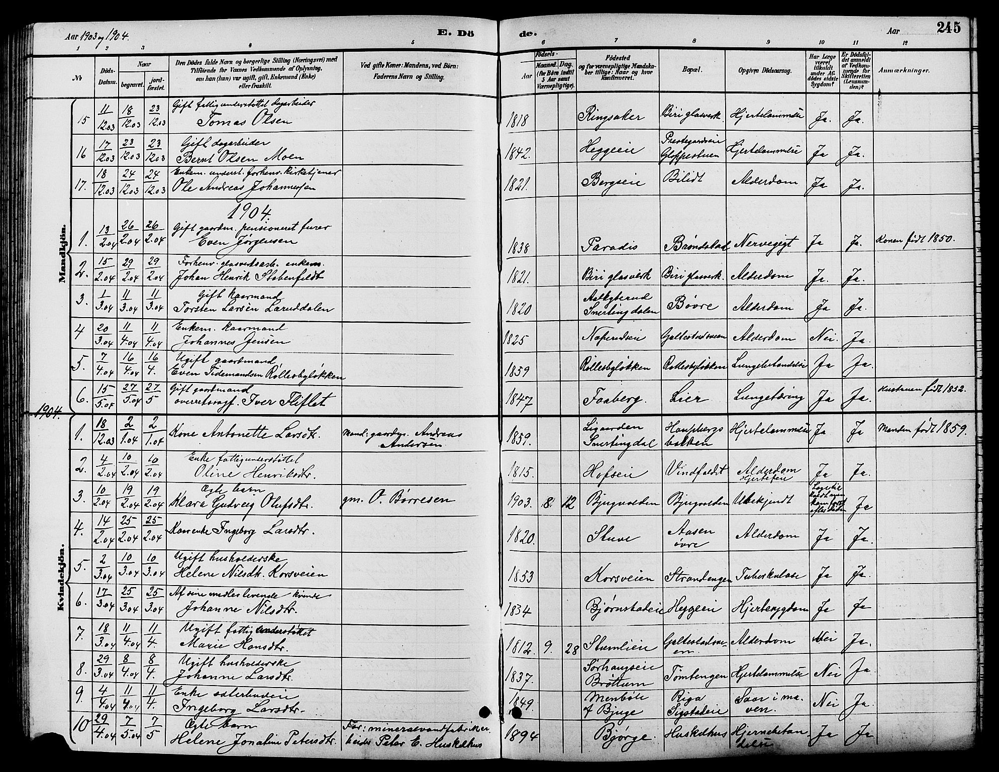 Biri prestekontor, SAH/PREST-096/H/Ha/Hab/L0004: Parish register (copy) no. 4, 1892-1909, p. 245