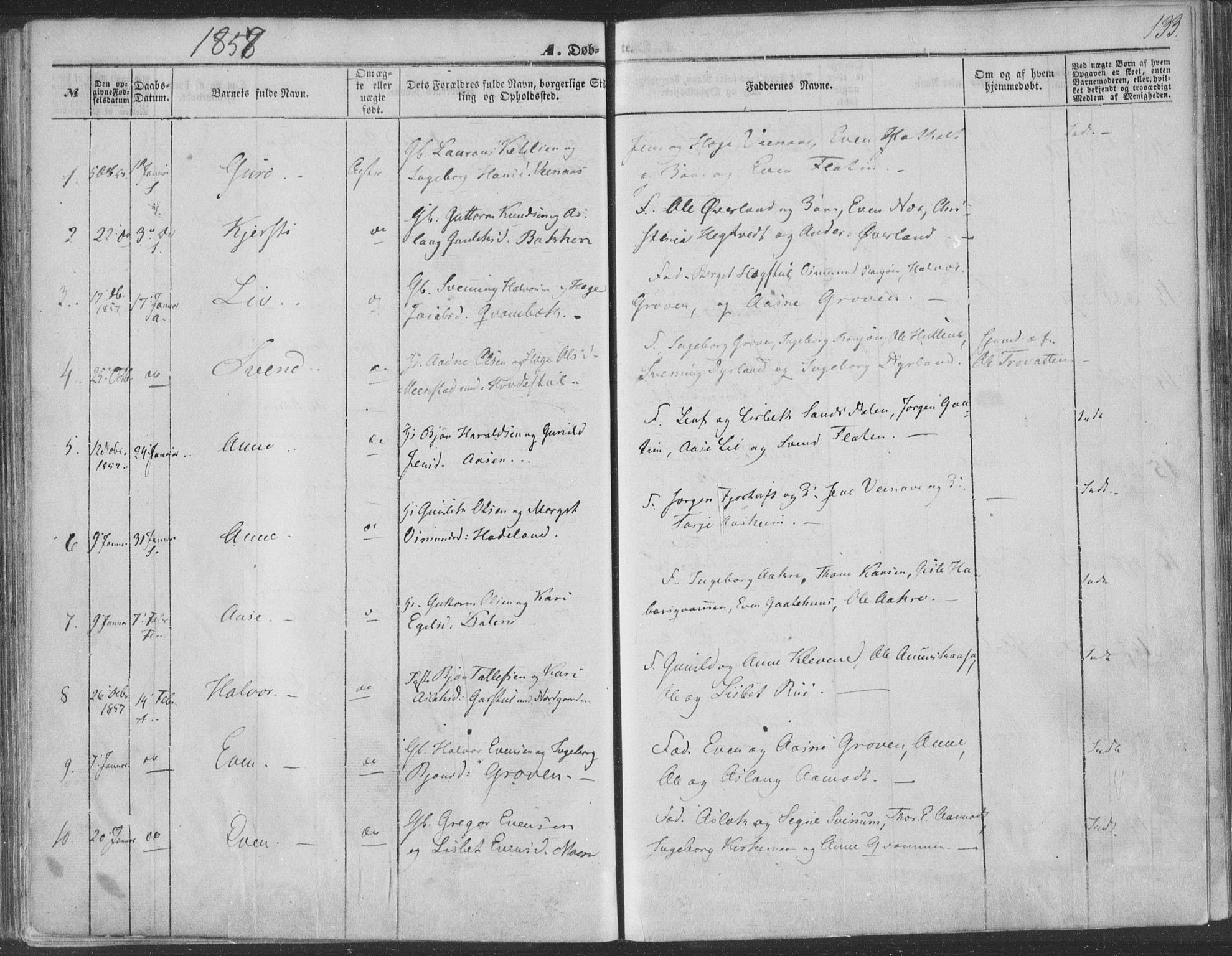Seljord kirkebøker, SAKO/A-20/F/Fa/L012a: Parish register (official) no. I 12A, 1850-1865, p. 133