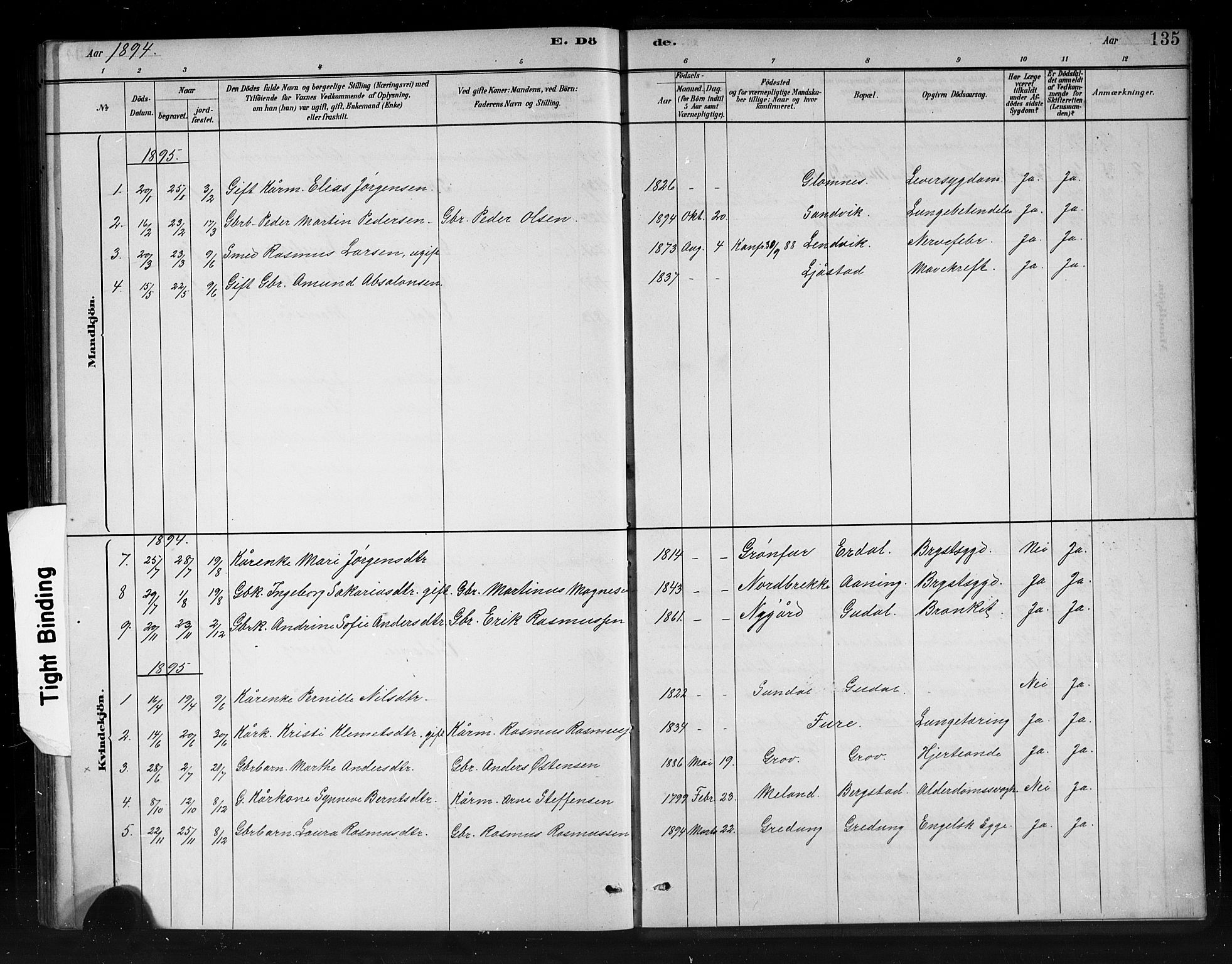 Stryn Sokneprestembete, AV/SAB-A-82501: Parish register (copy) no. C 3, 1881-1905, p. 135