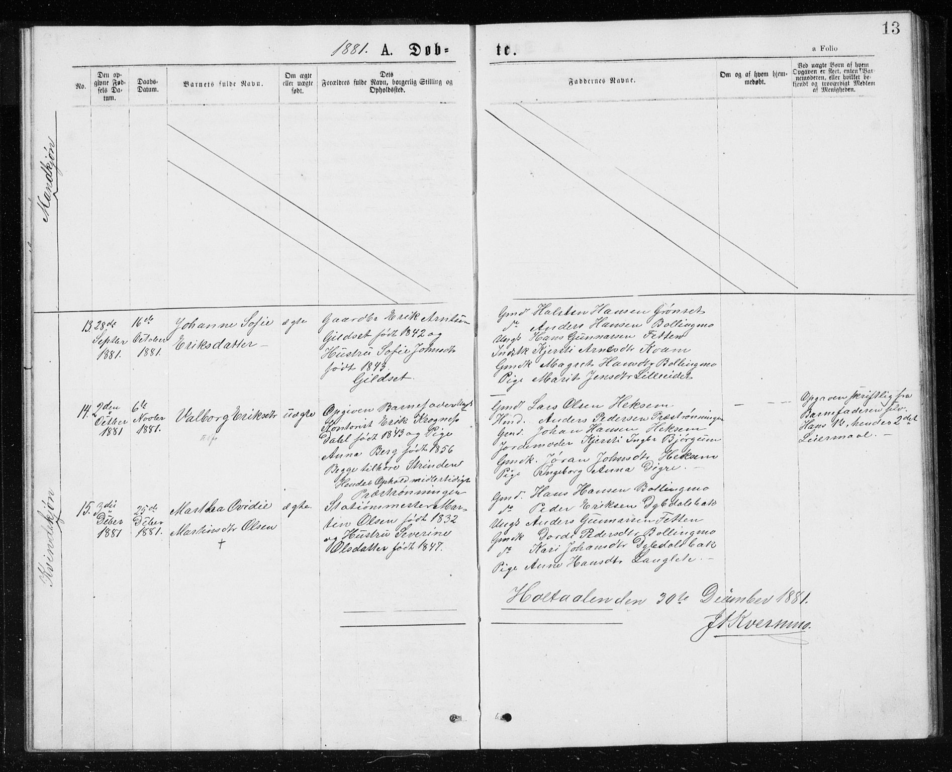 Ministerialprotokoller, klokkerbøker og fødselsregistre - Sør-Trøndelag, SAT/A-1456/685/L0977: Parish register (copy) no. 685C02, 1879-1890, p. 13