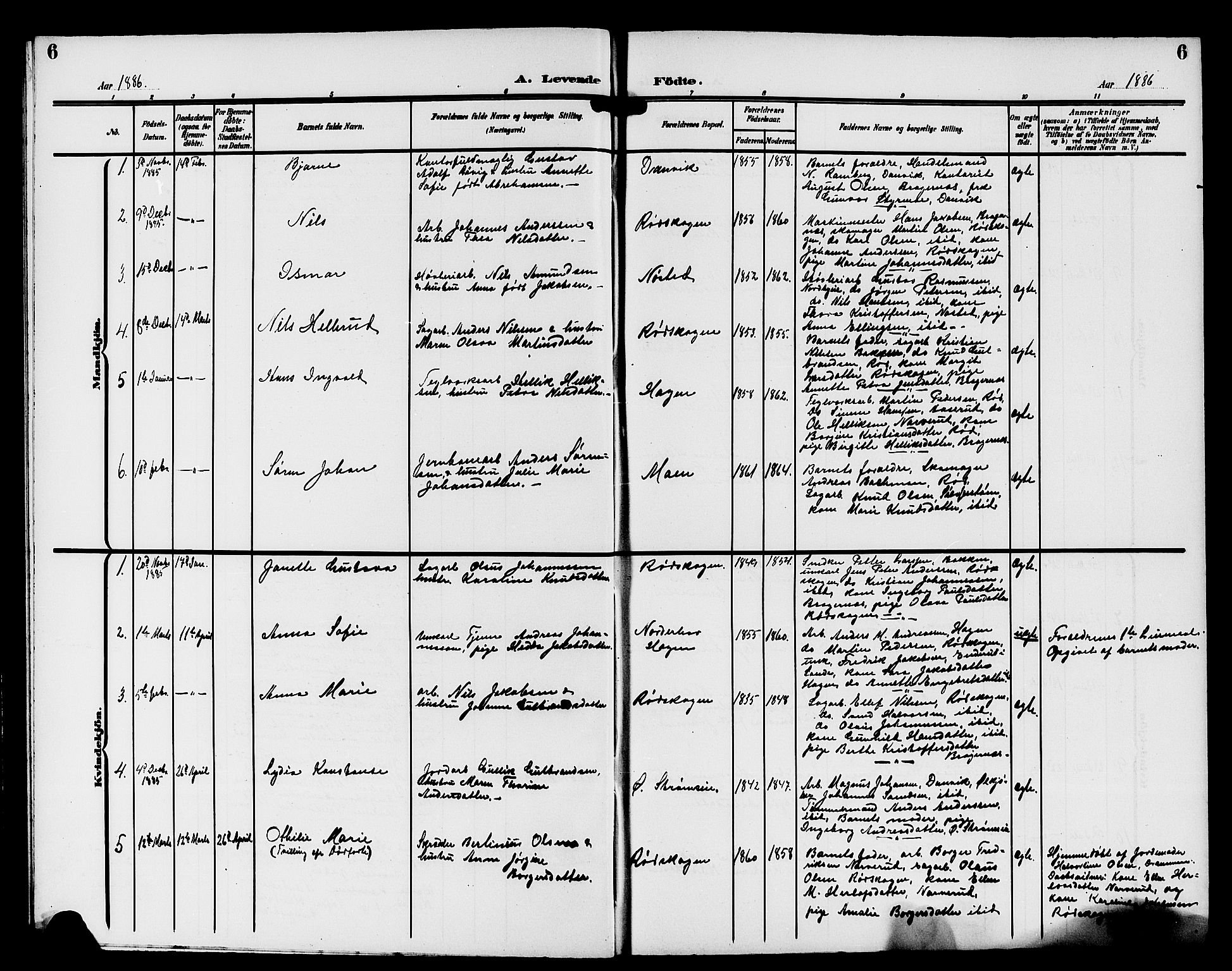 Strømsgodset kirkebøker, AV/SAKO-A-324/G/Ga/L0002: Parish register (copy) no. 2, 1885-1910, p. 6