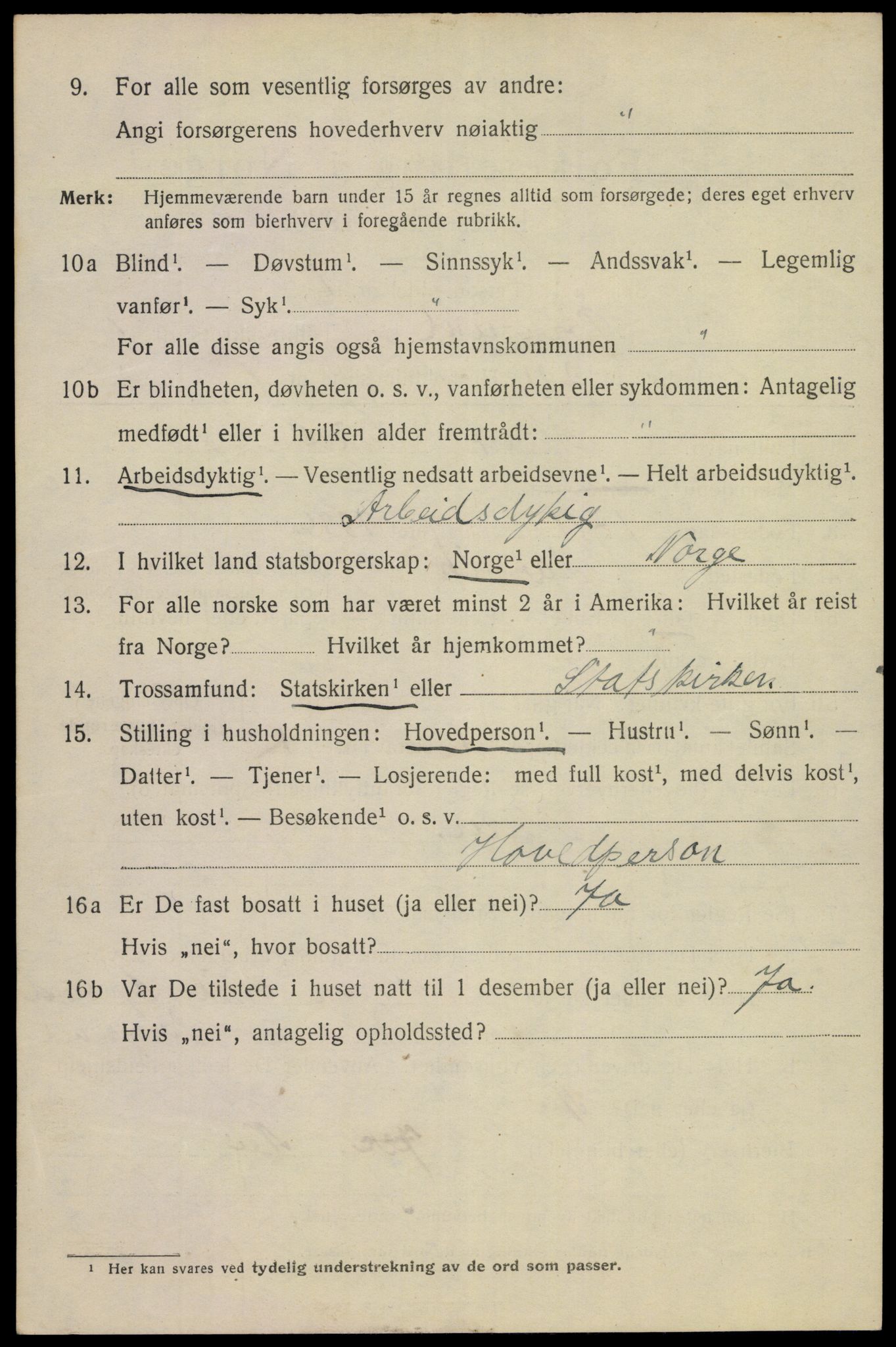 SAKO, 1920 census for Porsgrunn, 1920, p. 9426