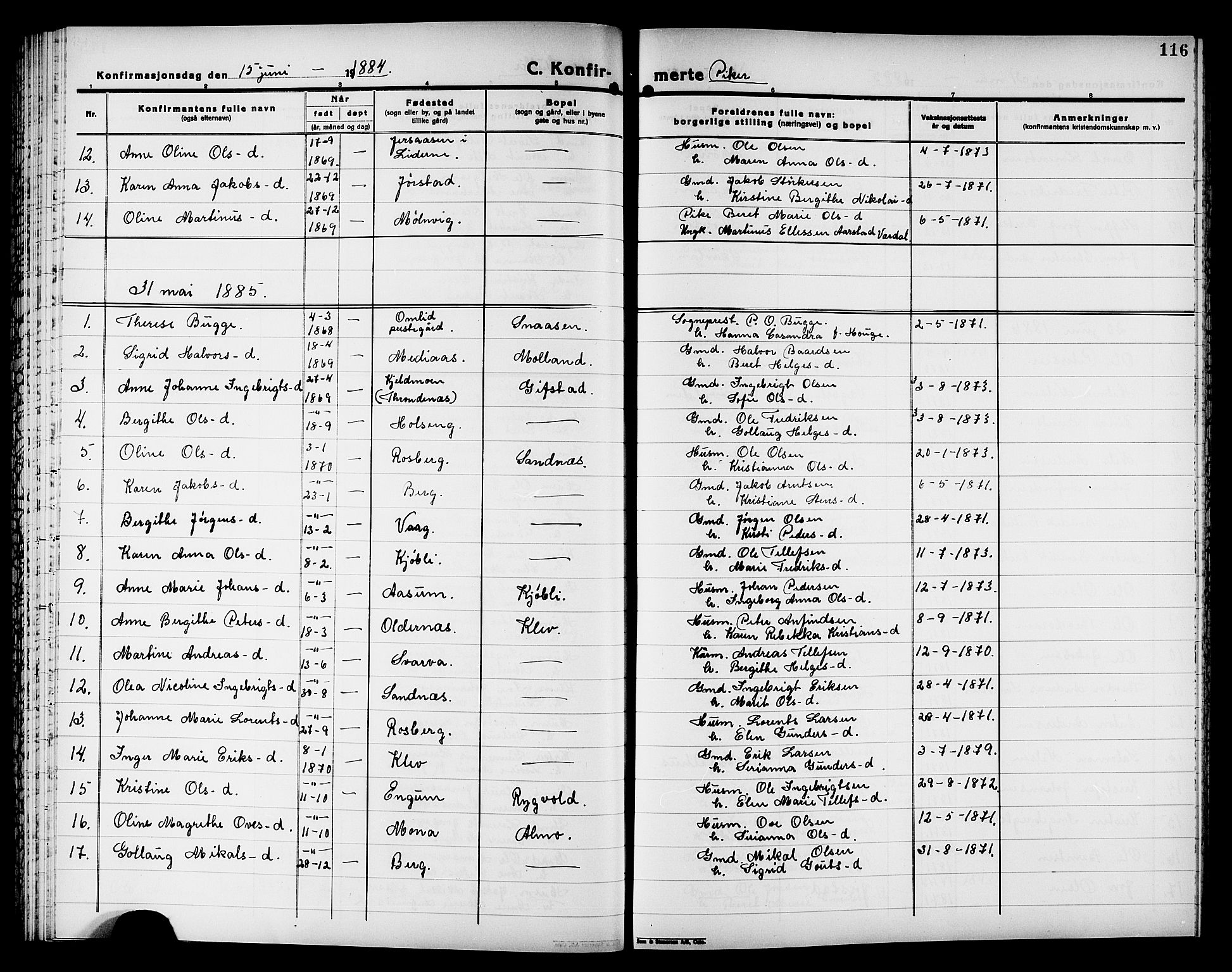 Ministerialprotokoller, klokkerbøker og fødselsregistre - Nord-Trøndelag, SAT/A-1458/749/L0486: Parish register (official) no. 749D02, 1873-1887, p. 116