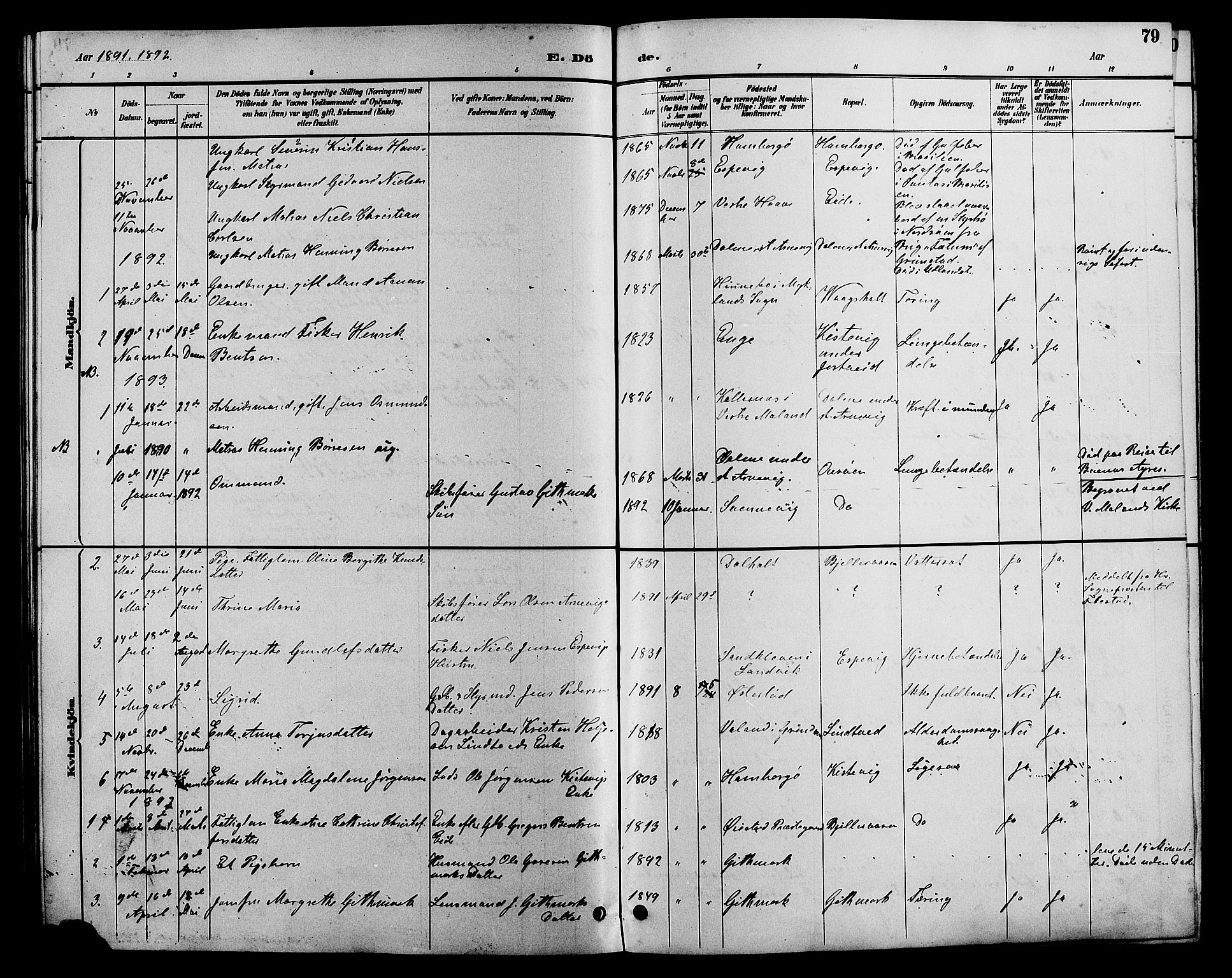 Hommedal sokneprestkontor, AV/SAK-1111-0023/F/Fb/Fba/L0004: Parish register (copy) no. B 4, 1885-1908, p. 79