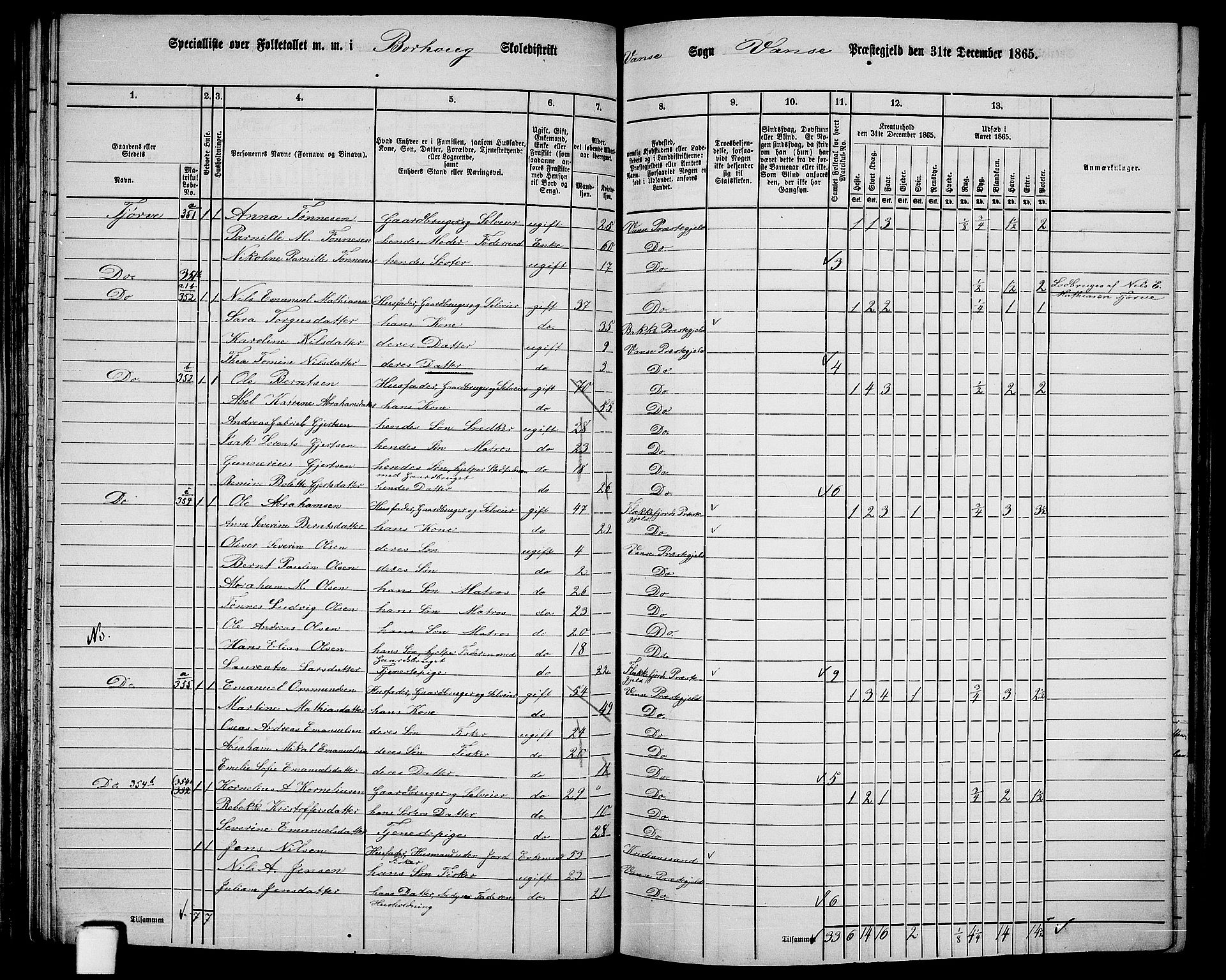 RA, 1865 census for Vanse/Vanse og Farsund, 1865, p. 114