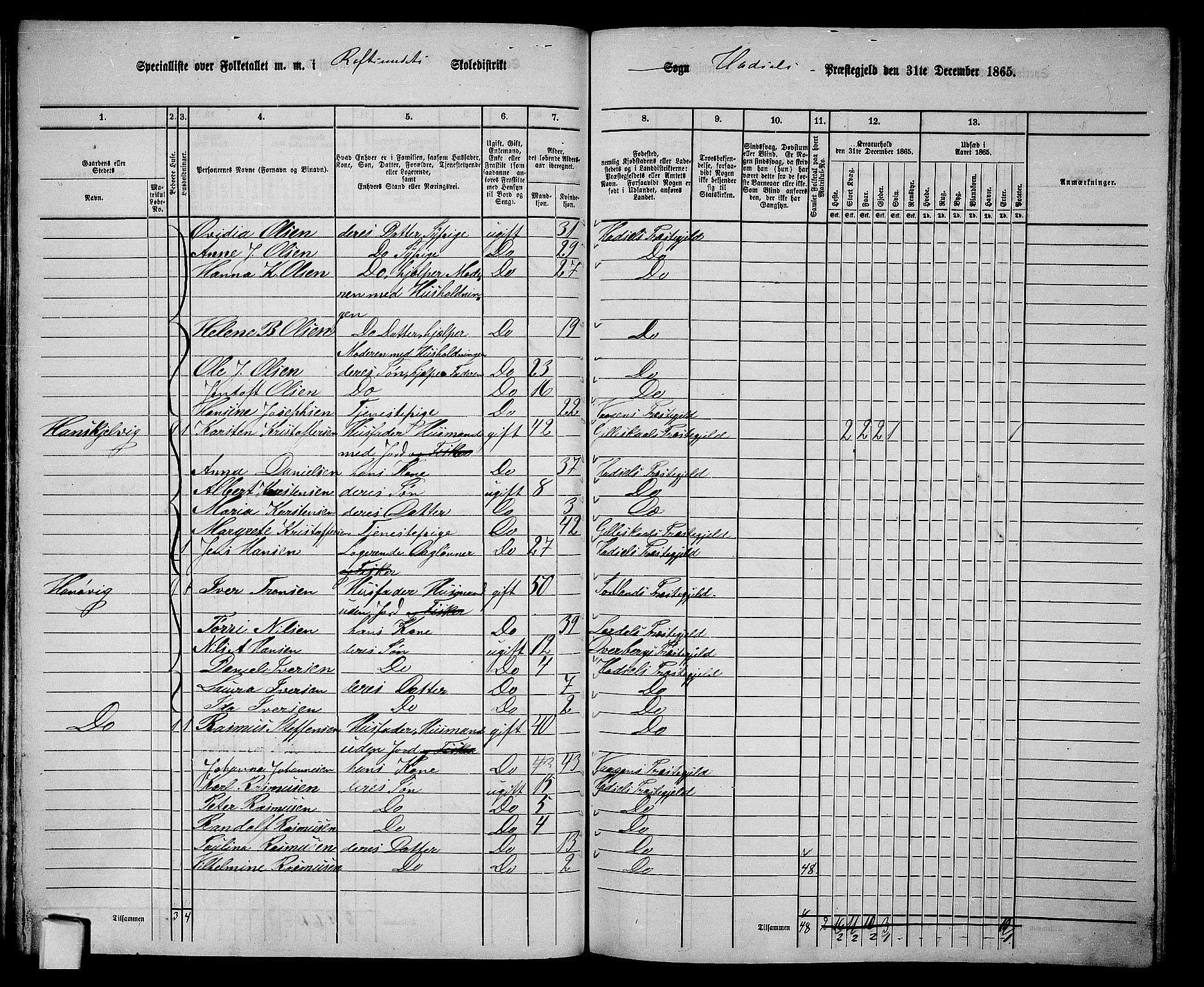 RA, 1865 census for Hadsel, 1865, p. 60