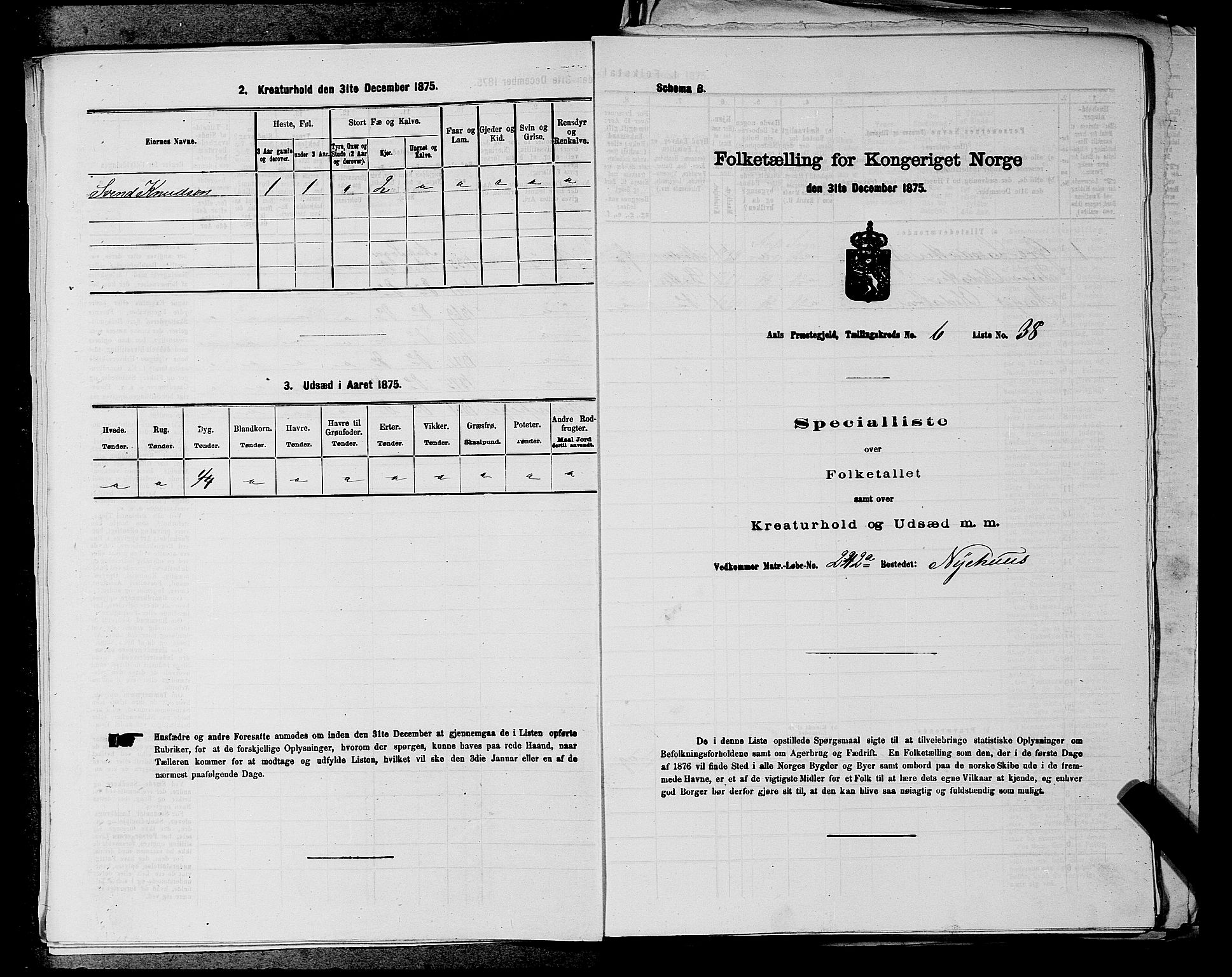 SAKO, 1875 census for 0619P Ål, 1875, p. 816