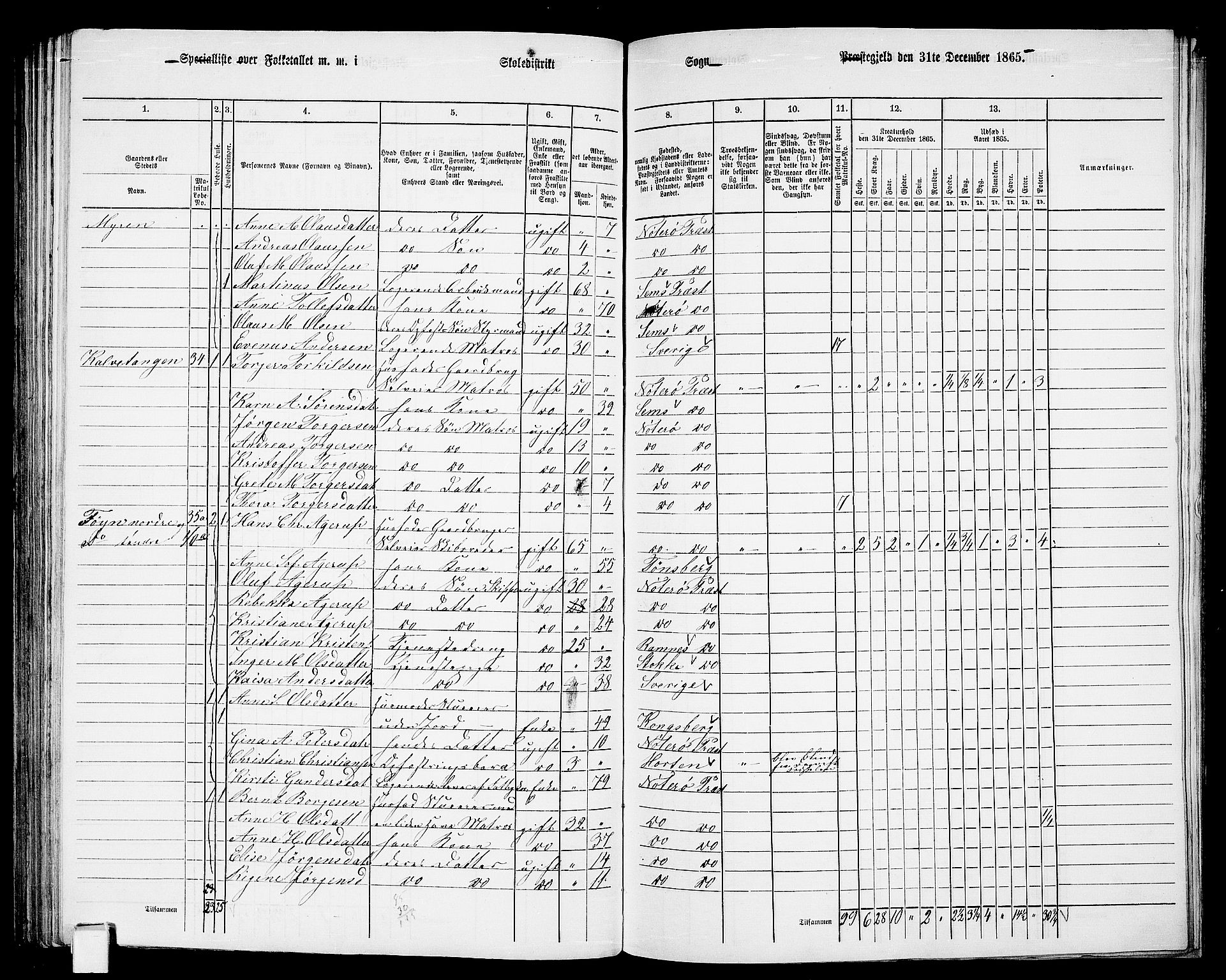 RA, 1865 census for Nøtterøy, 1865, p. 184