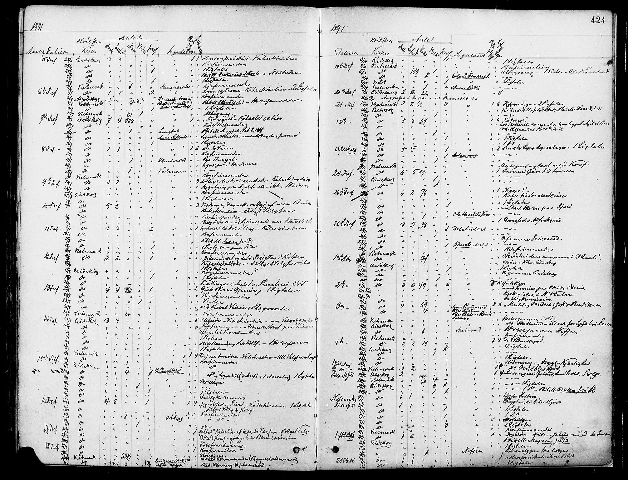 Eidskog prestekontor, SAH/PREST-026/H/Ha/Haa/L0003: Parish register (official) no. 3, 1879-1892, p. 424