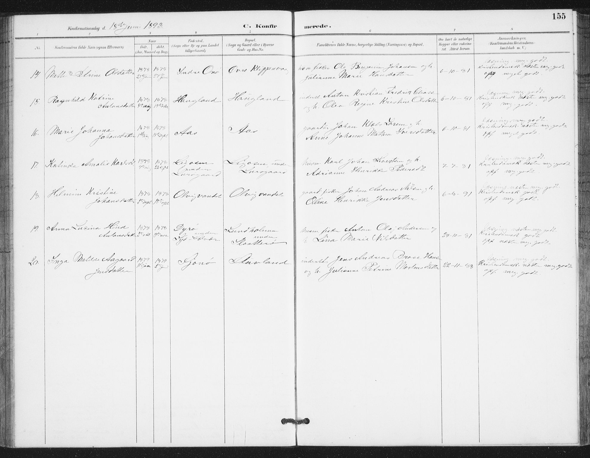 Ministerialprotokoller, klokkerbøker og fødselsregistre - Nordland, AV/SAT-A-1459/839/L0573: Parish register (copy) no. 839C03, 1892-1917, p. 155