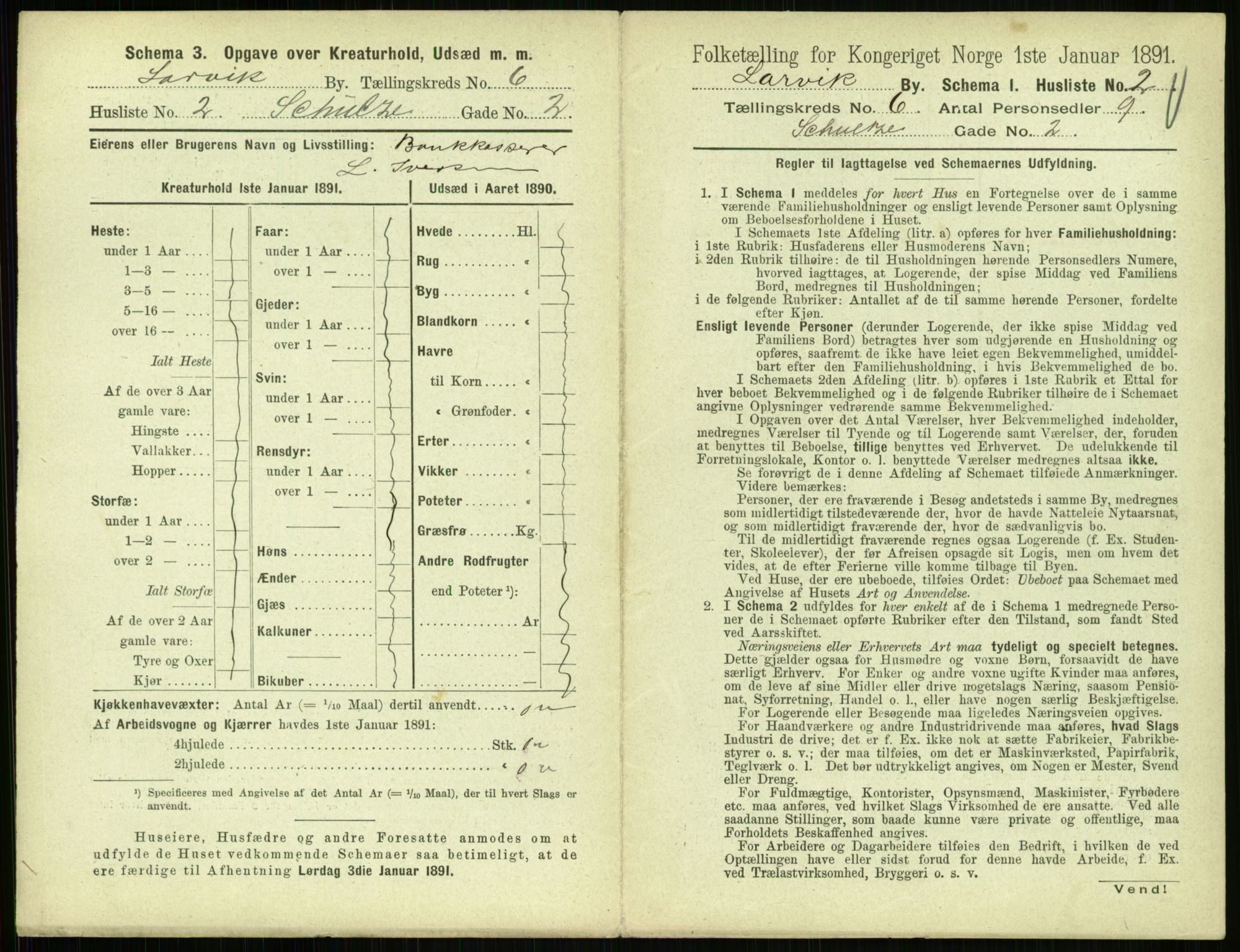 RA, 1891 census for 0707 Larvik, 1891, p. 809