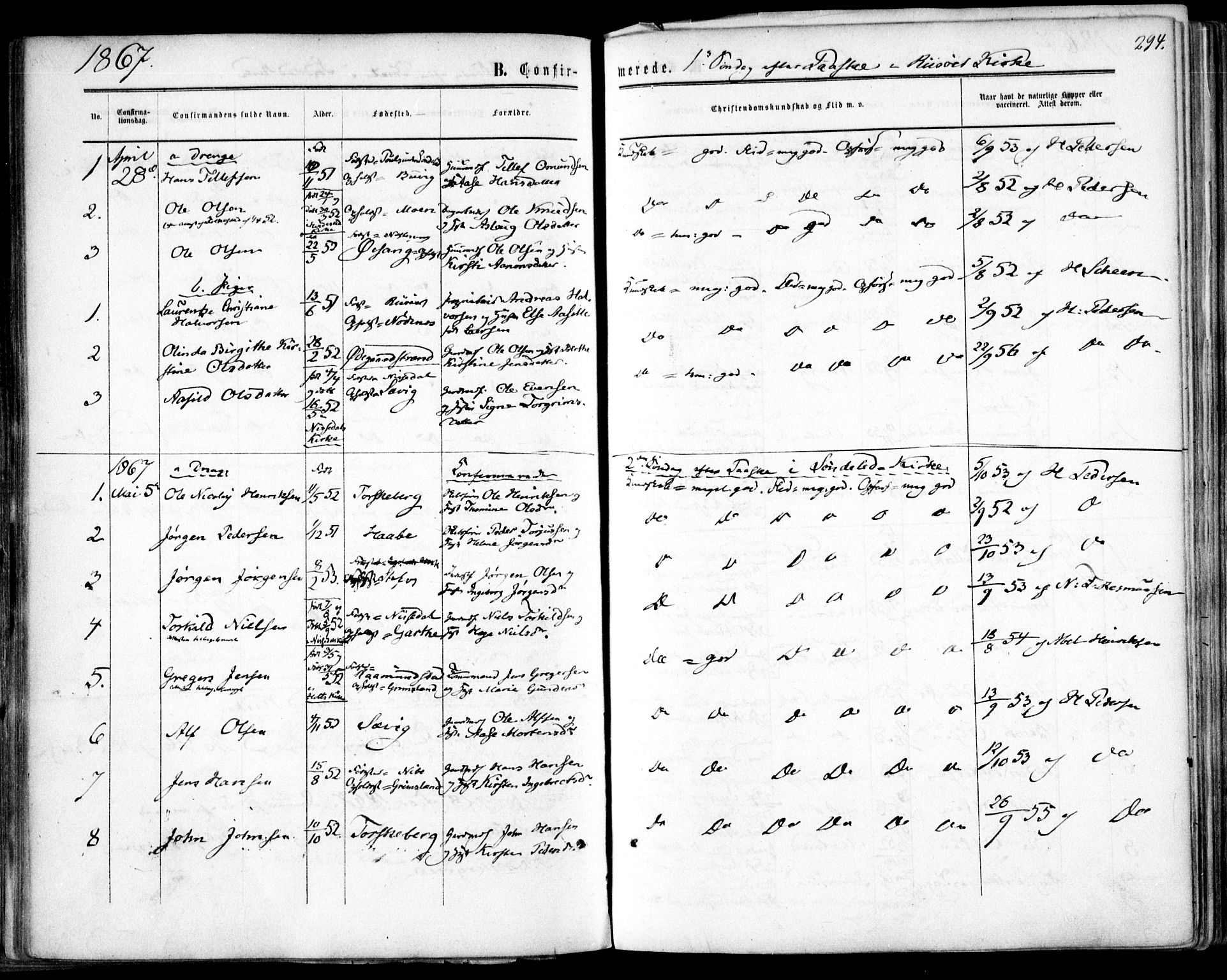 Søndeled sokneprestkontor, SAK/1111-0038/F/Fa/L0003: Parish register (official) no. A 3, 1861-1879, p. 294