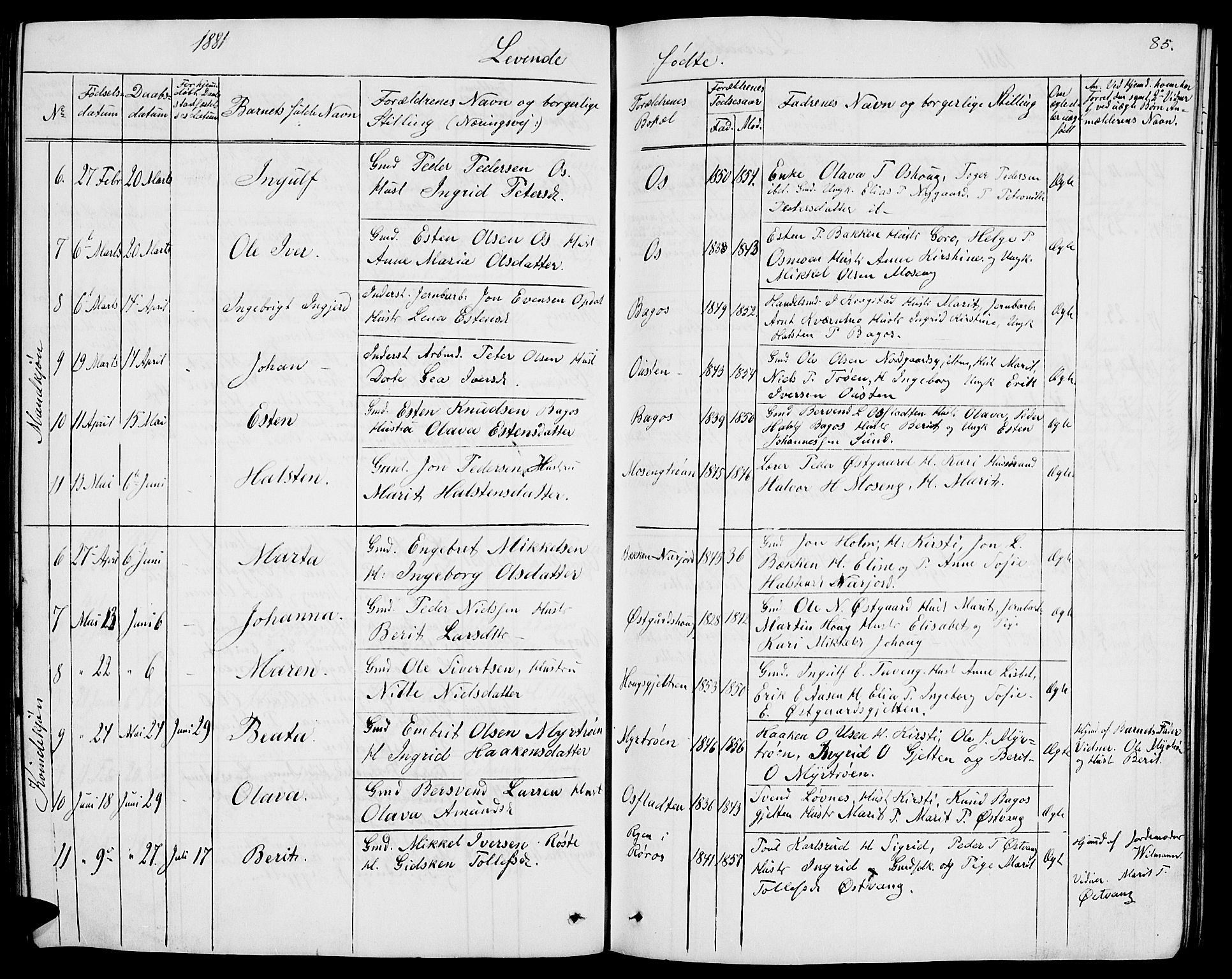 Tolga prestekontor, AV/SAH-PREST-062/L/L0004: Parish register (copy) no. 4, 1845-1887, p. 85