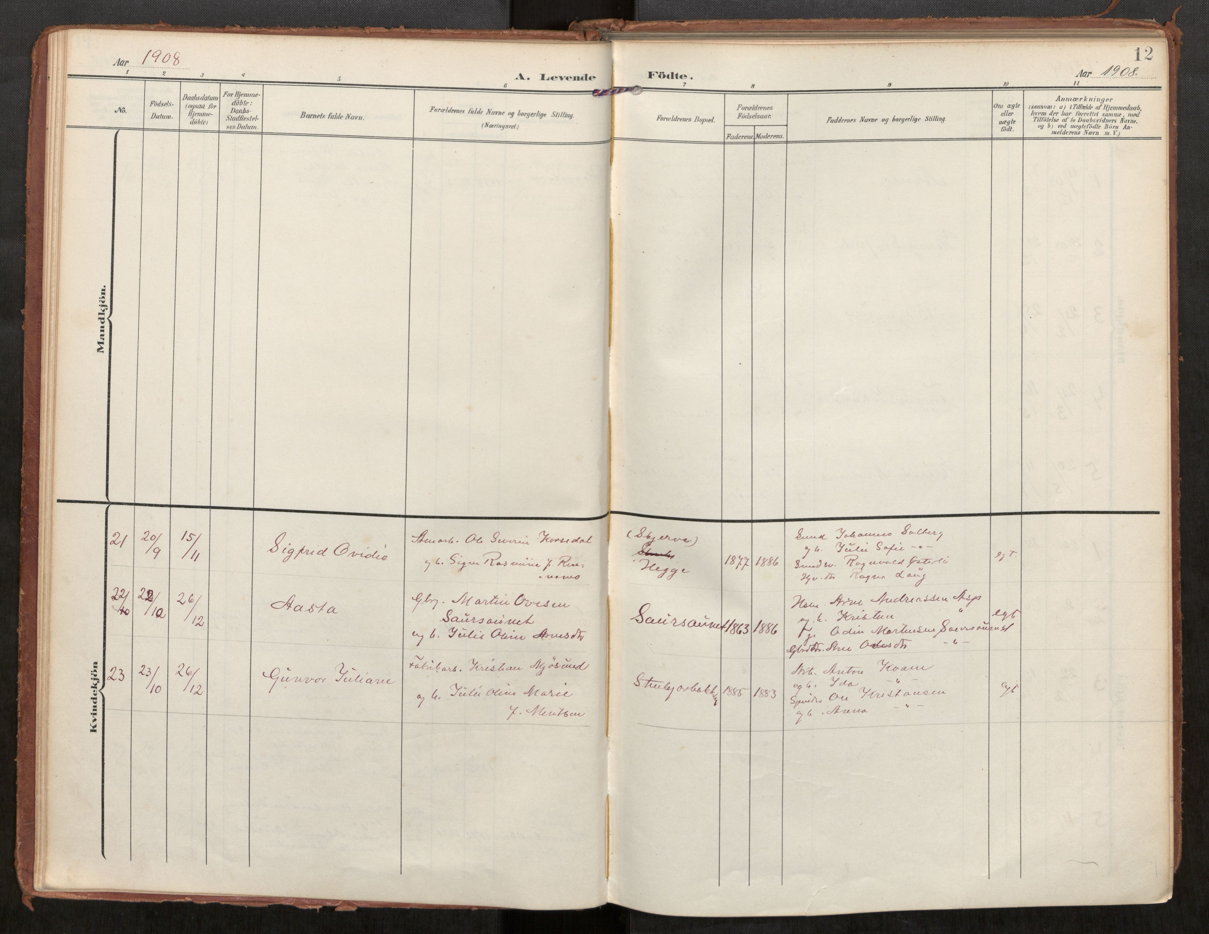 Steinkjer sokneprestkontor, SAT/A-1541/01/H/Ha/Haa/L0002: Parish register (official) no. 2, 1907-1917, p. 12