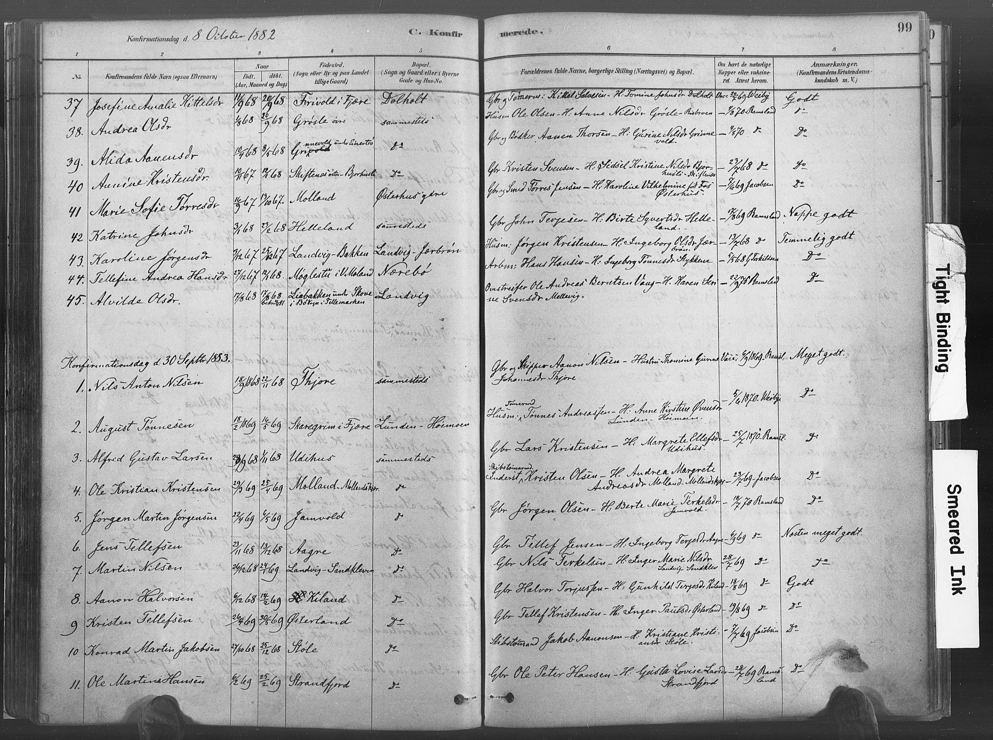 Hommedal sokneprestkontor, SAK/1111-0023/F/Fa/Fab/L0006: Parish register (official) no. A 6, 1878-1897, p. 99