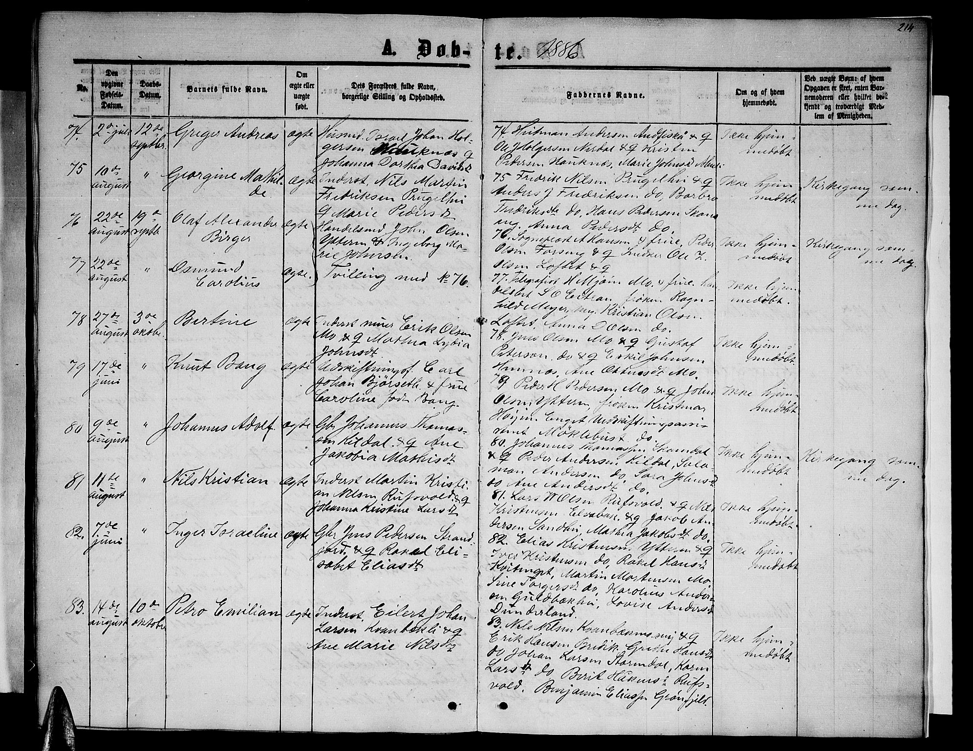 Ministerialprotokoller, klokkerbøker og fødselsregistre - Nordland, AV/SAT-A-1459/827/L0415: Parish register (copy) no. 827C04, 1864-1886, p. 214