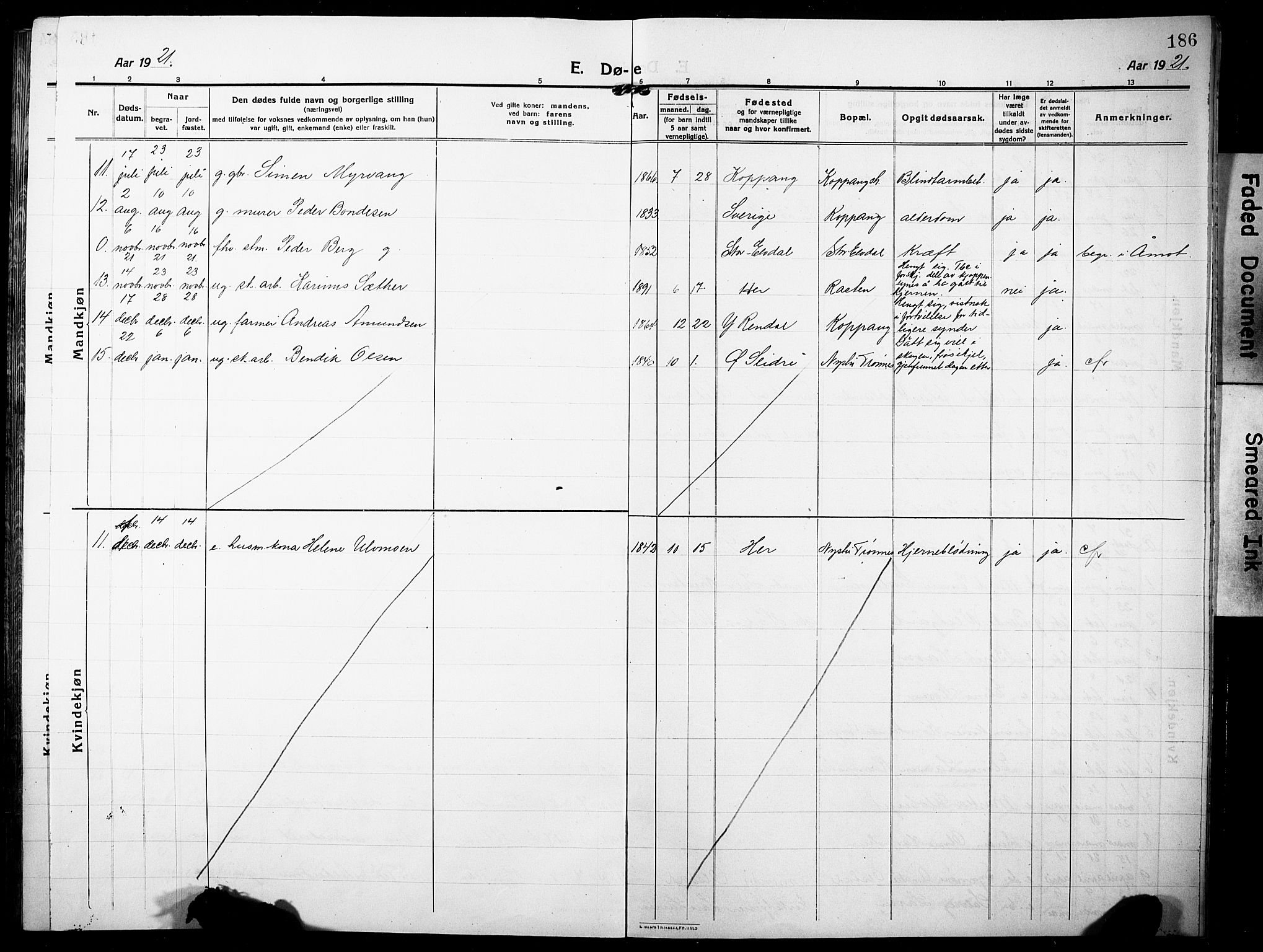 Stor-Elvdal prestekontor, SAH/PREST-052/H/Ha/Hab/L0005: Parish register (copy) no. 5, 1913-1932, p. 186