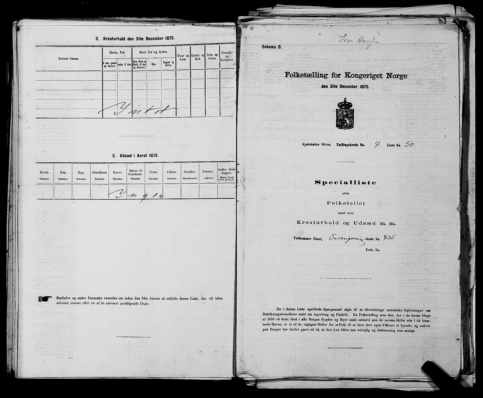 SAKO, 1875 census for 0806P Skien, 1875, p. 781