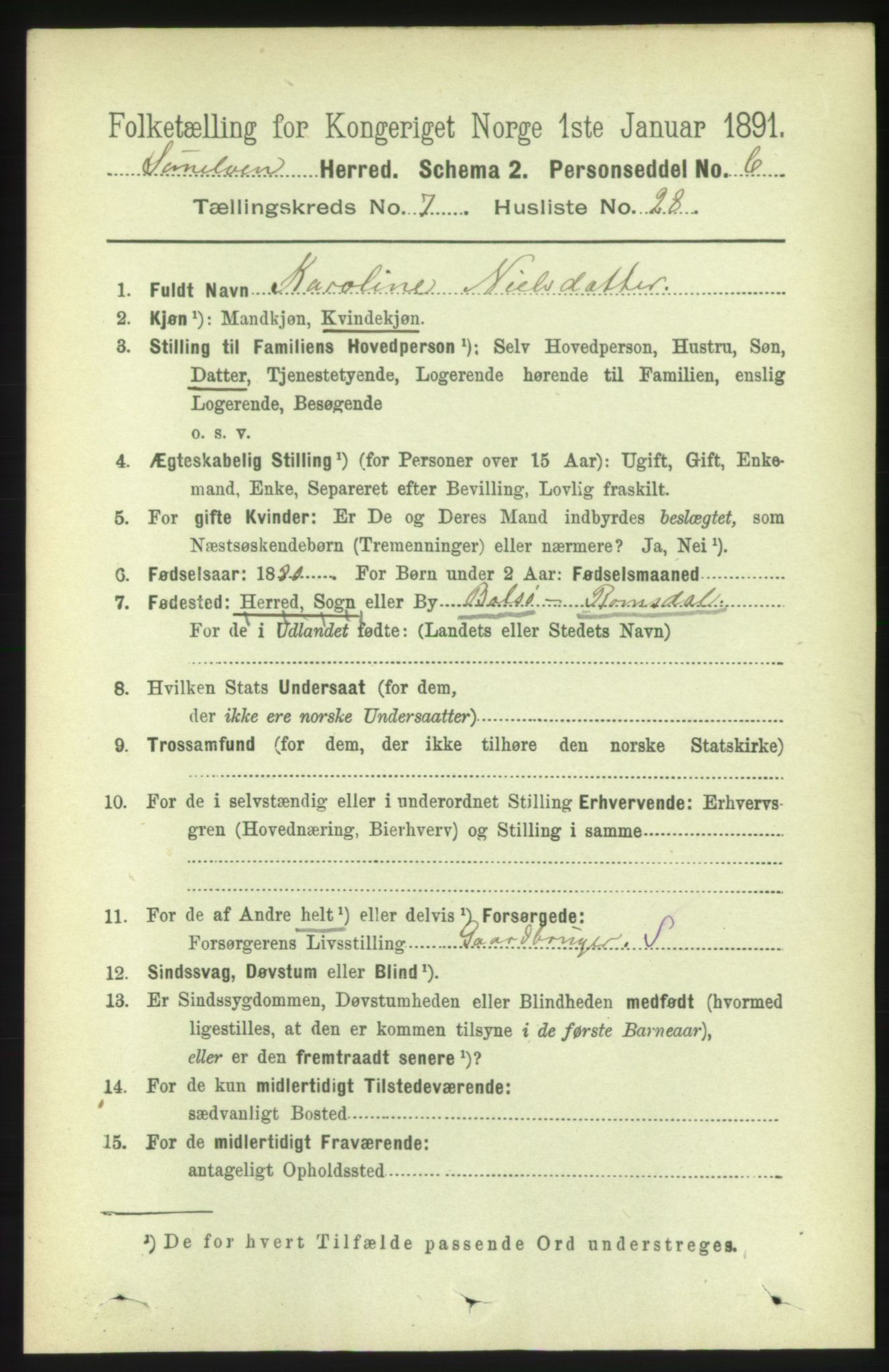 RA, 1891 census for 1523 Sunnylven, 1891, p. 1994