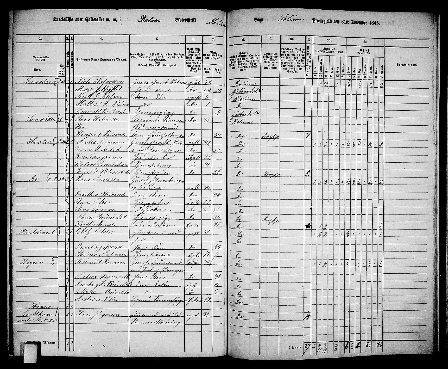 RA, 1865 census for Solum, 1865, p. 193