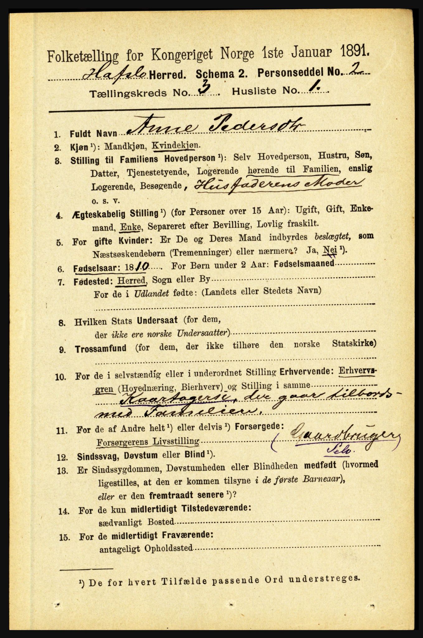 RA, 1891 census for 1425 Hafslo, 1891, p. 983