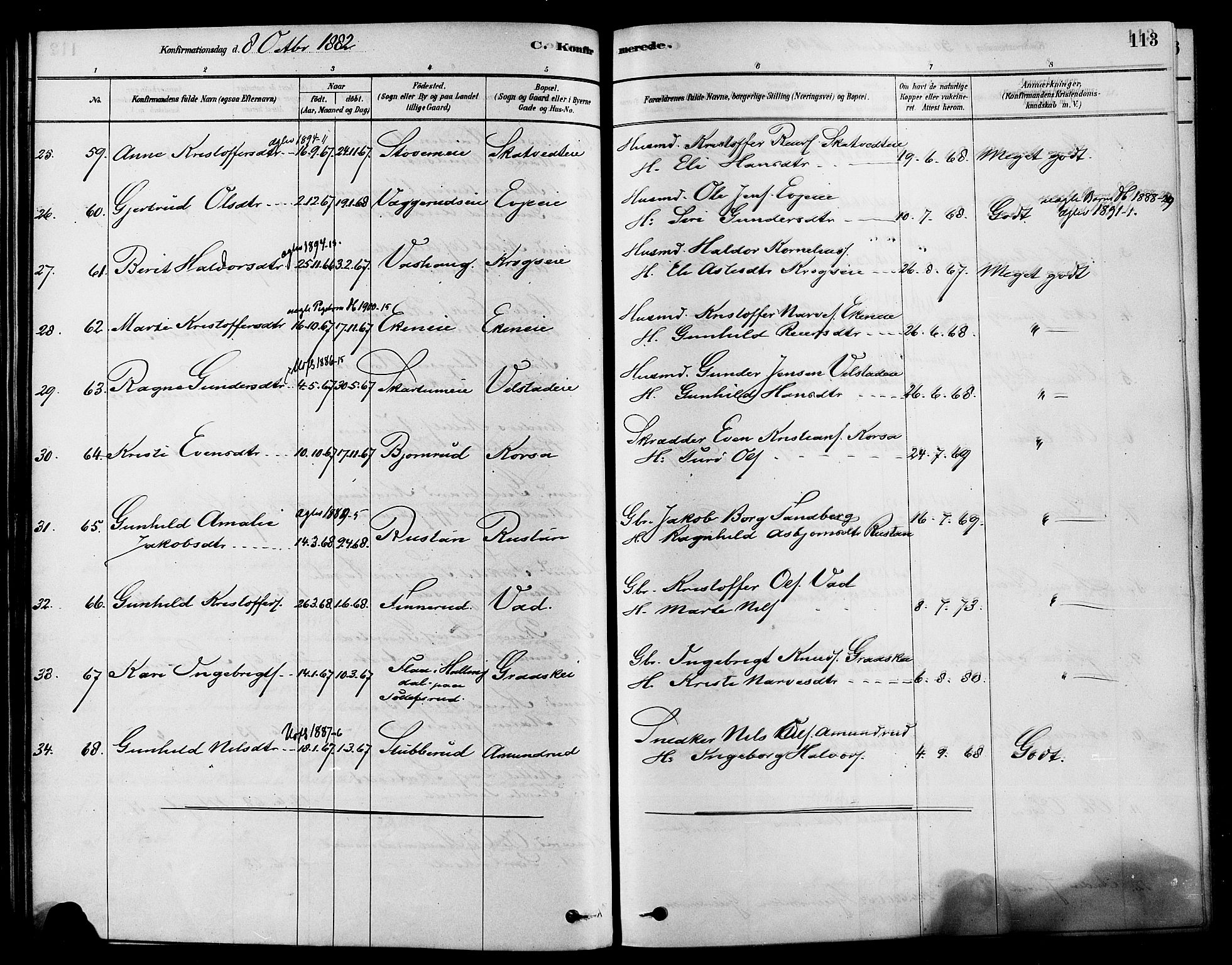 Sigdal kirkebøker, SAKO/A-245/F/Fa/L0011: Parish register (official) no. I 11, 1879-1887, p. 113