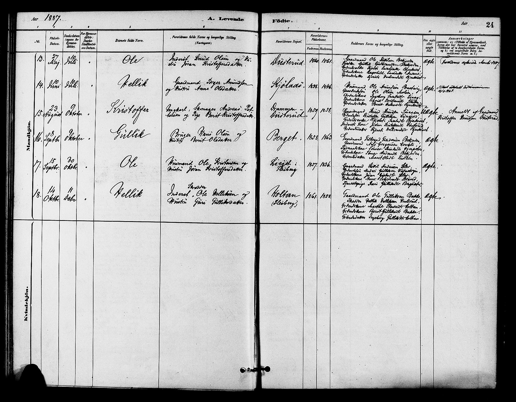 Flesberg kirkebøker, SAKO/A-18/F/Fc/L0001: Parish register (official) no. III 1, 1879-1905, p. 24