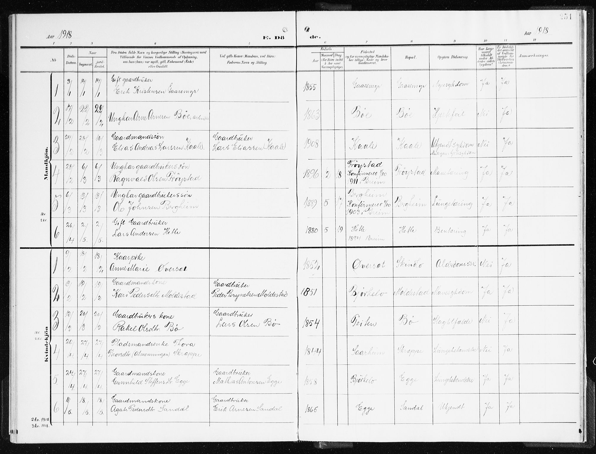 Gloppen sokneprestembete, AV/SAB-A-80101/H/Haa/Haac/L0003: Parish register (official) no. C 3, 1904-1921, p. 251