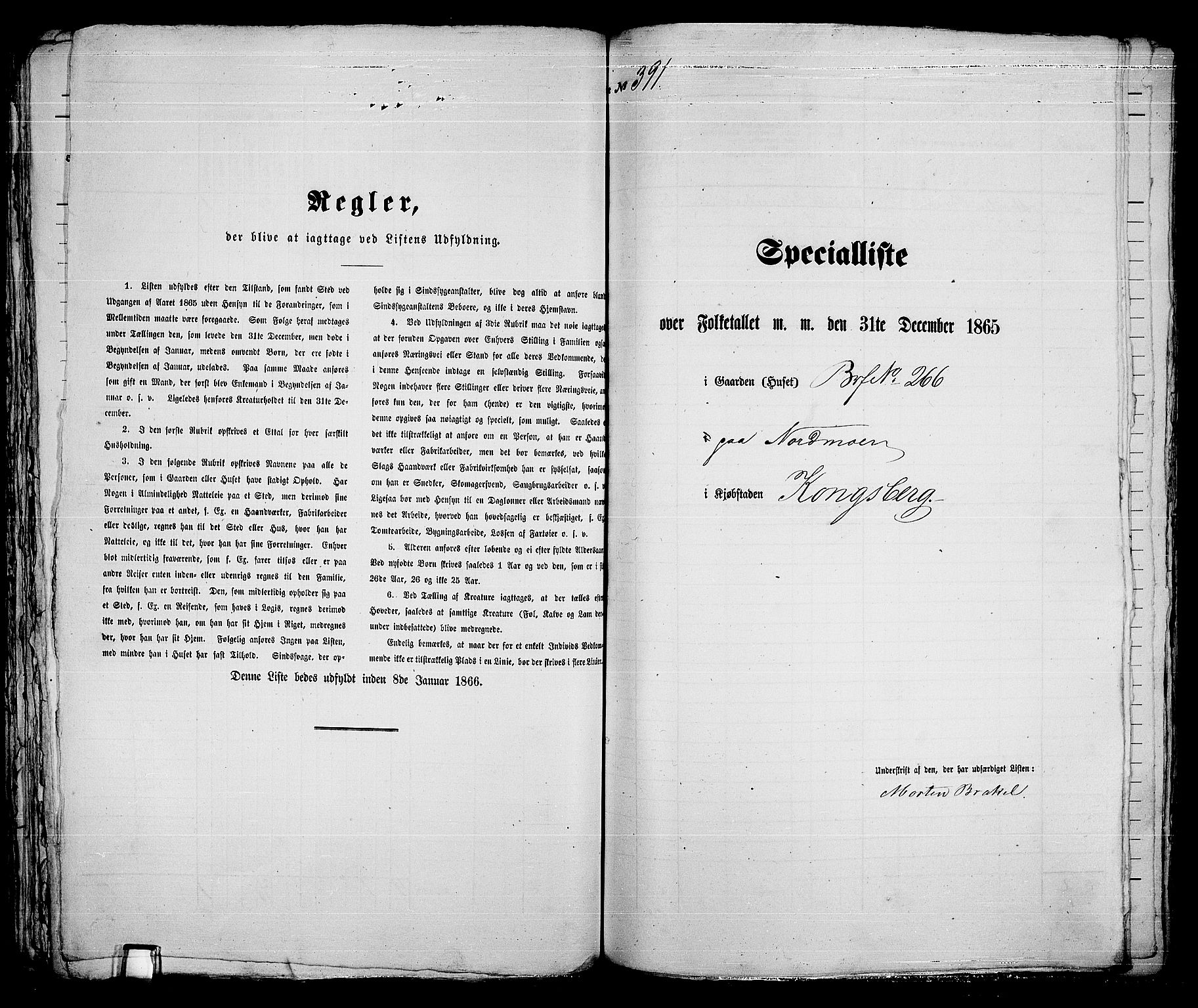 RA, 1865 census for Kongsberg/Kongsberg, 1865, p. 799