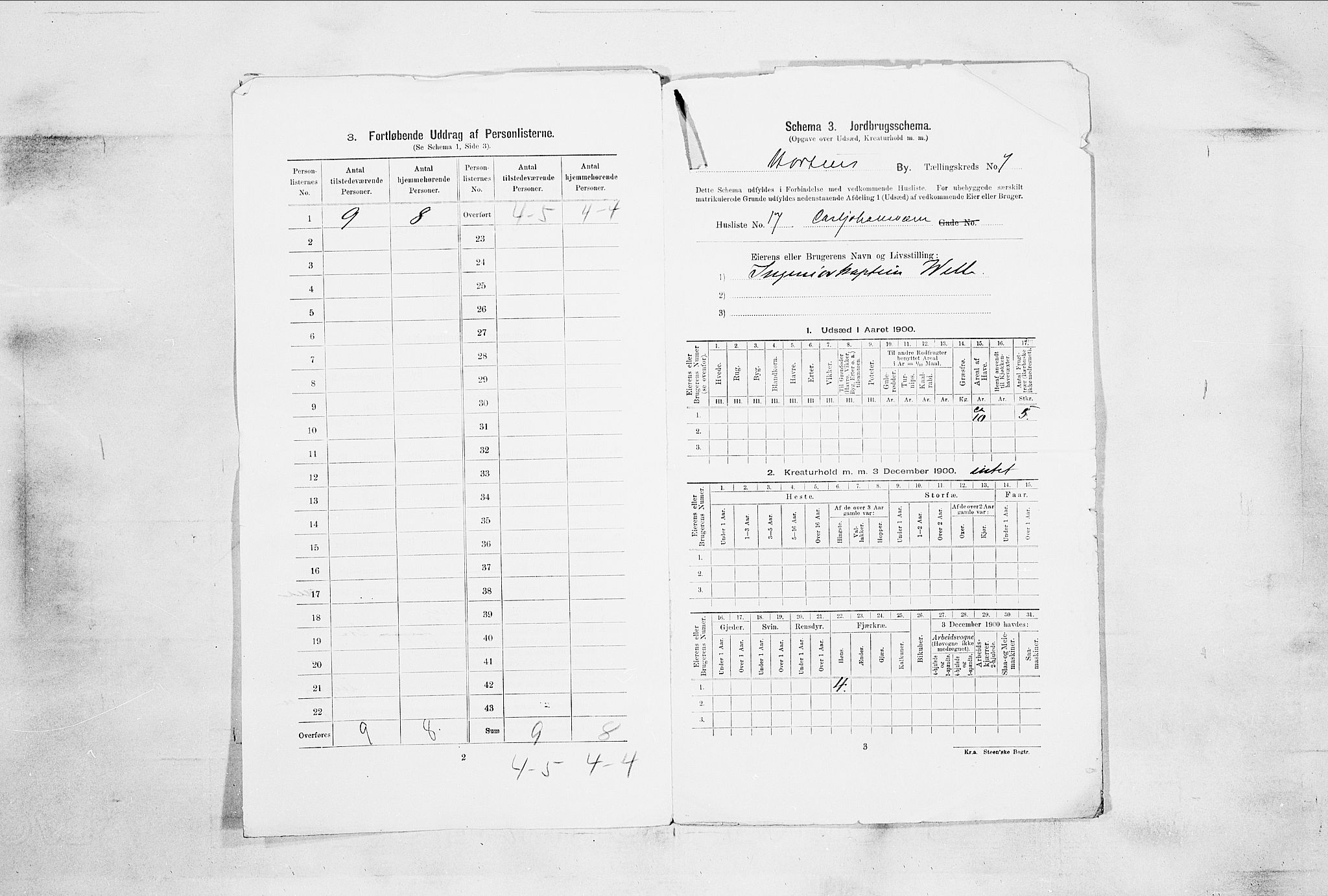 RA, 1900 census for Horten, 1900, p. 4984