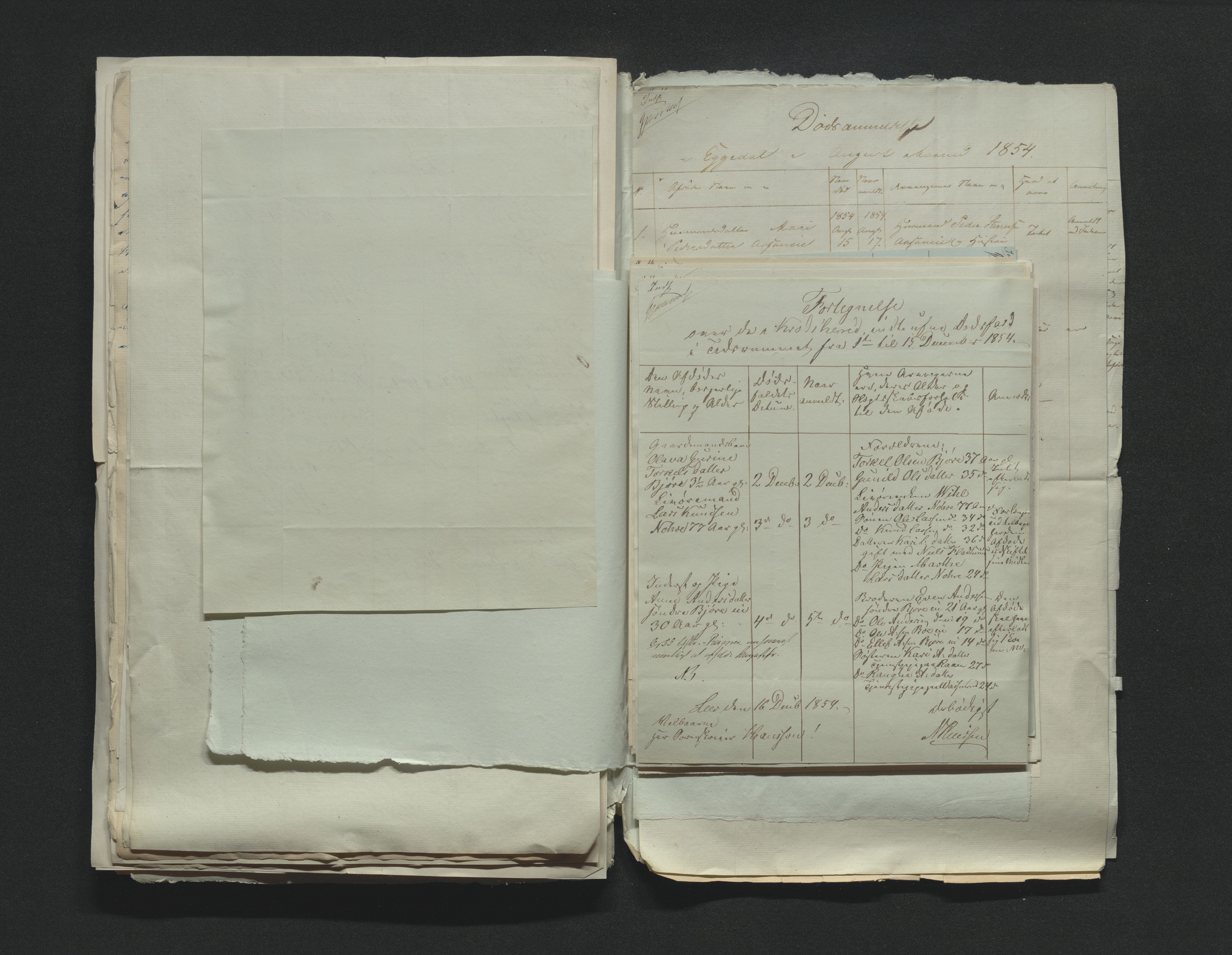 Eiker, Modum og Sigdal sorenskriveri, AV/SAKO-A-123/H/Ha/Hab/L0009: Dødsfallsmeldinger, 1854-1857, p. 97