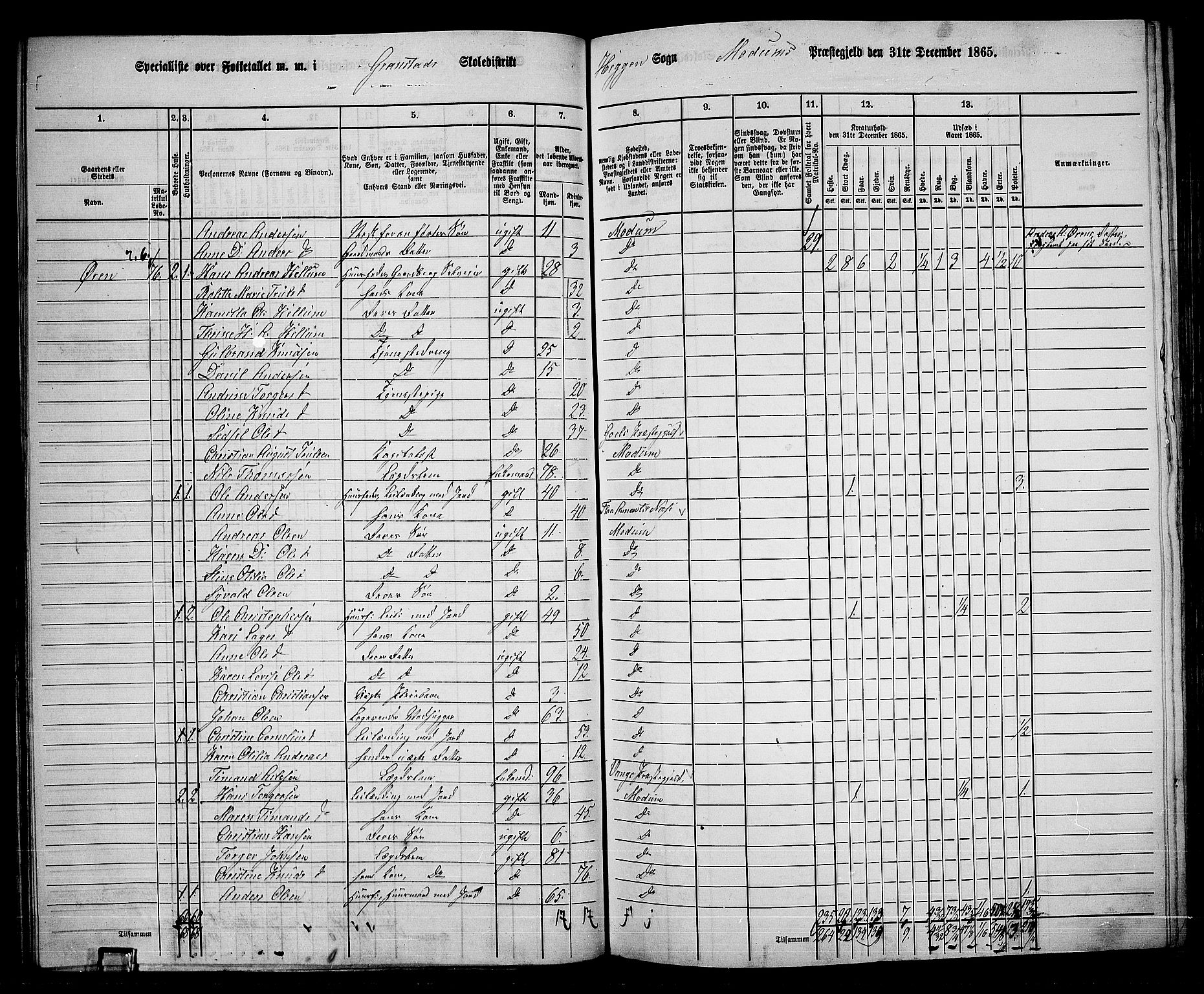 RA, 1865 census for Modum, 1865, p. 62