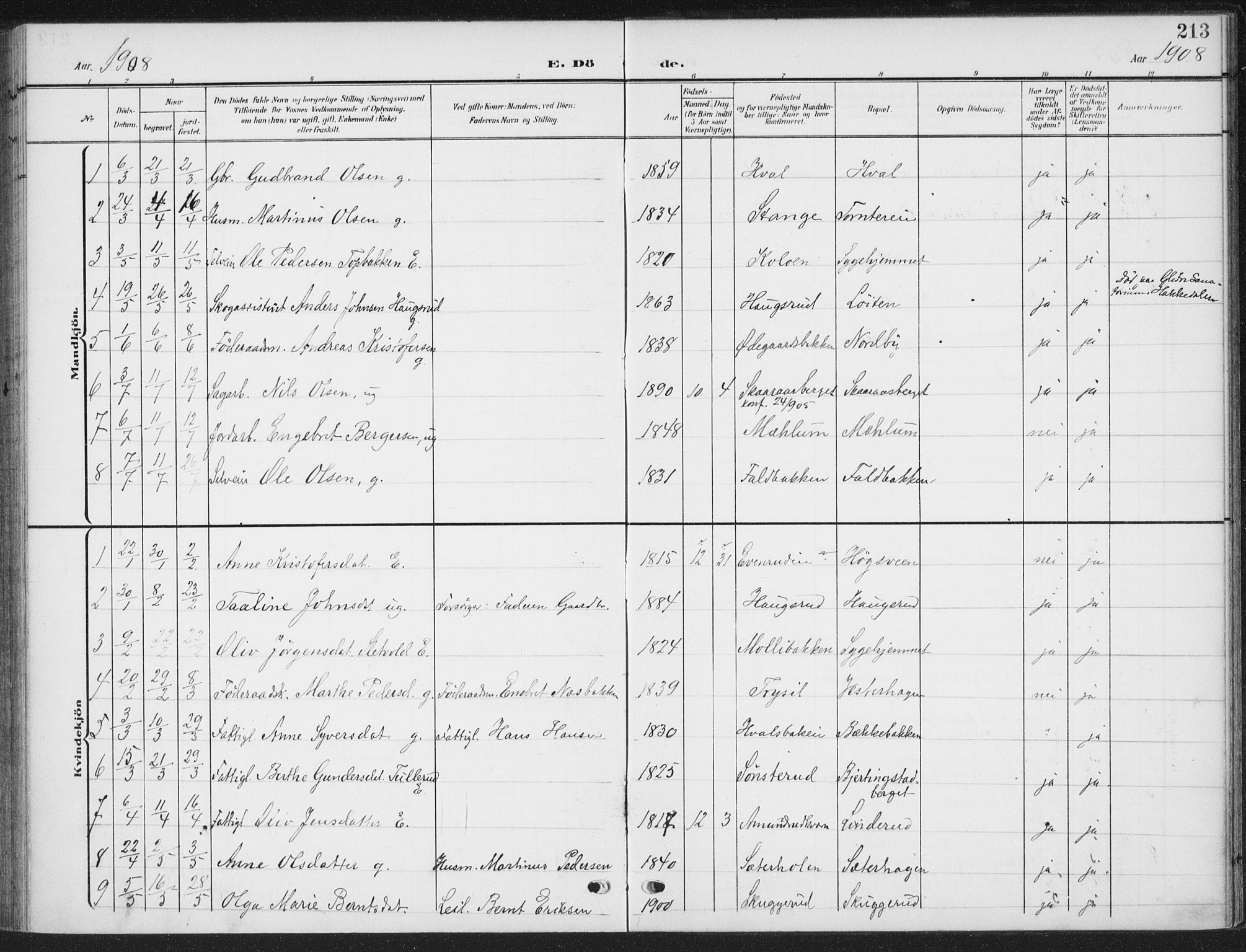 Romedal prestekontor, SAH/PREST-004/K/L0009: Parish register (official) no. 9, 1906-1929, p. 213