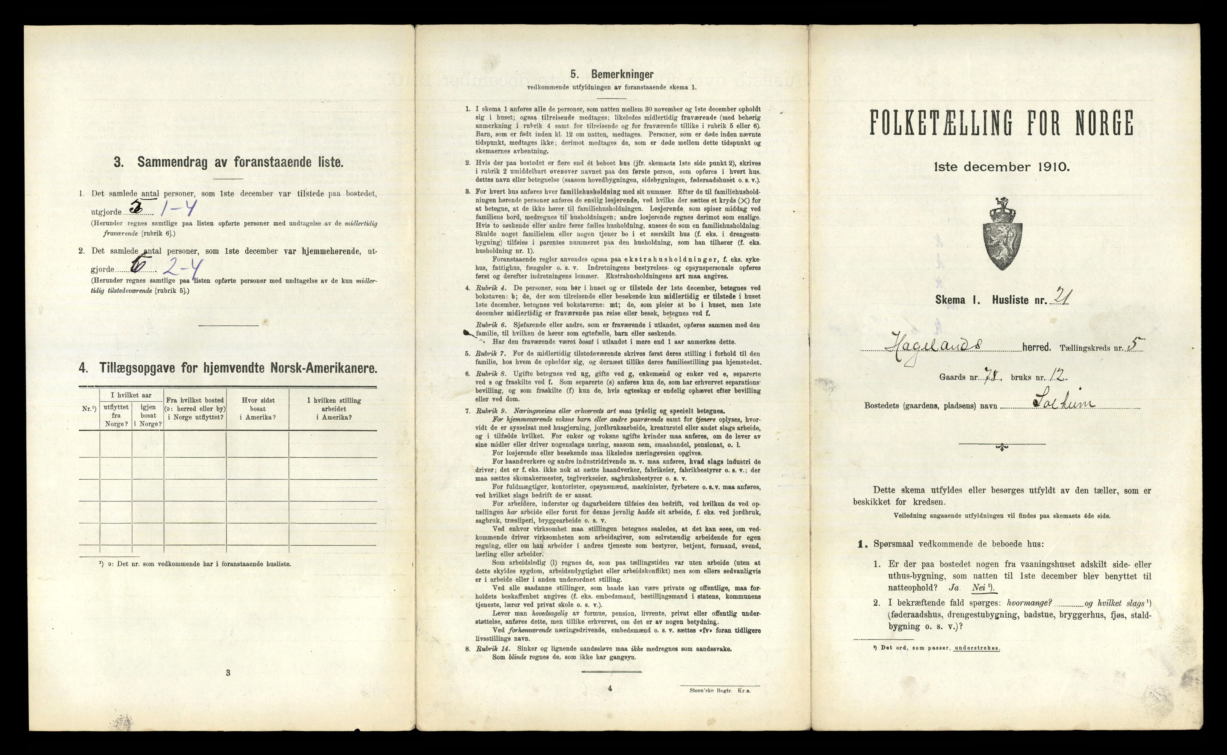 RA, 1910 census for Hægeland, 1910, p. 314