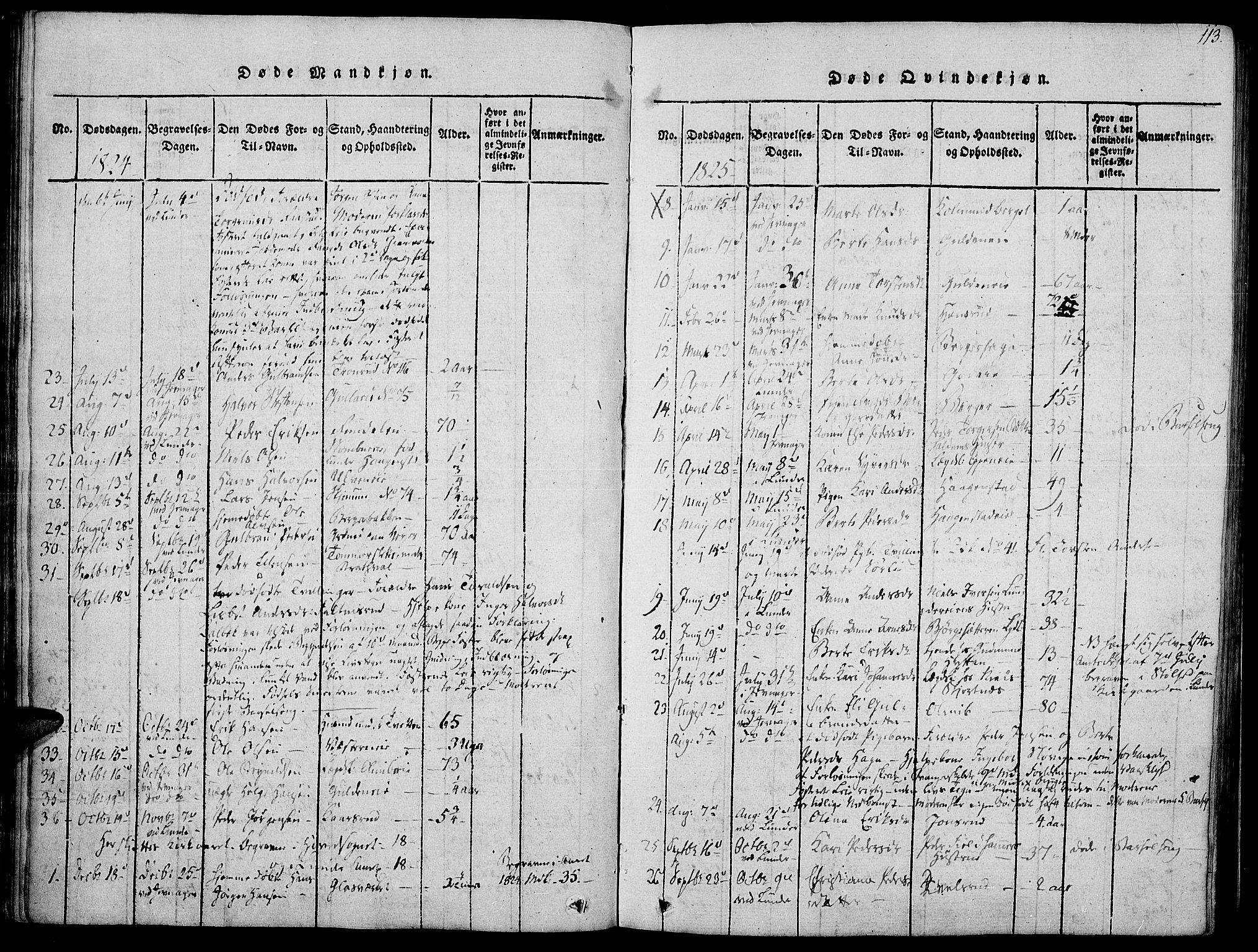 Jevnaker prestekontor, SAH/PREST-116/H/Ha/Haa/L0005: Parish register (official) no. 5, 1815-1837, p. 113