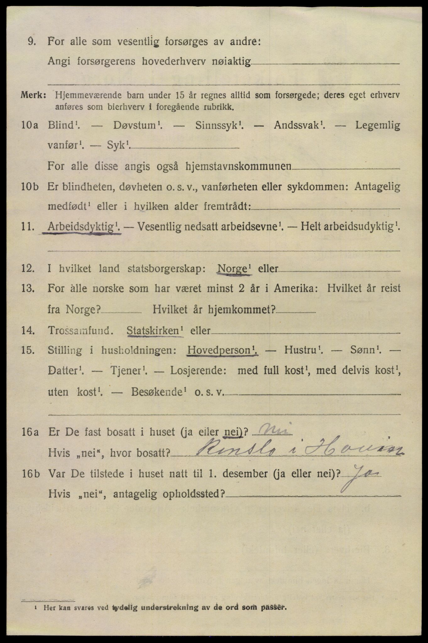 SAKO, 1920 census for Hovin, 1920, p. 1152