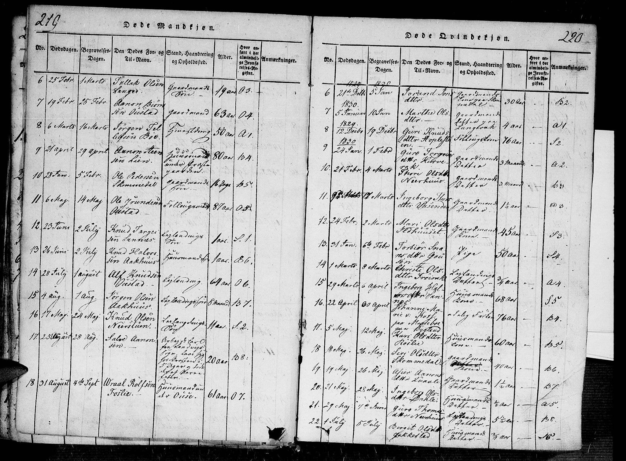 Bygland sokneprestkontor, SAK/1111-0006/F/Fa/Fab/L0003: Parish register (official) no. A 3, 1816-1841, p. 219-220