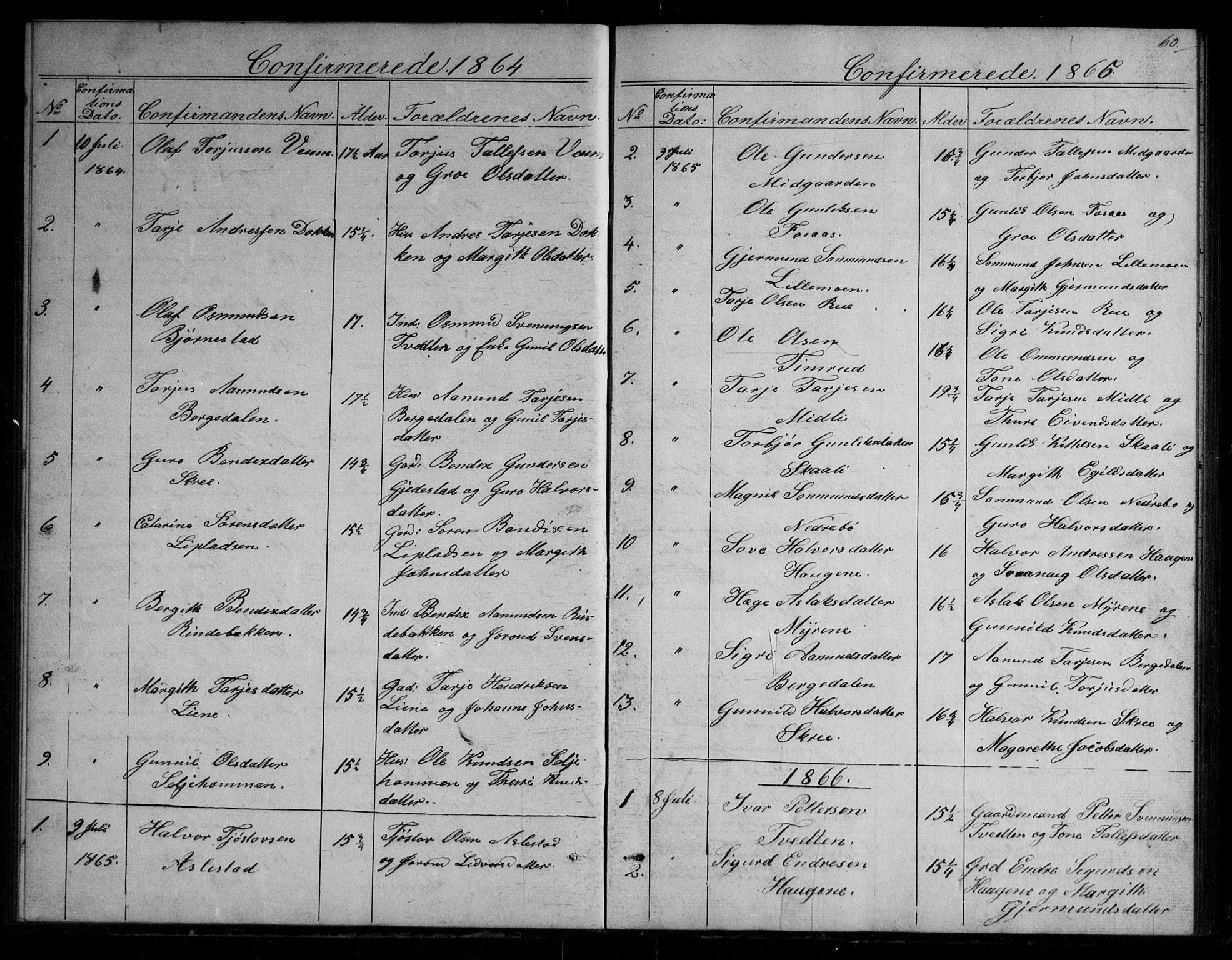 Fyresdal kirkebøker, SAKO/A-263/G/Gb/L0001: Parish register (copy) no. II 1, 1864-1890, p. 60