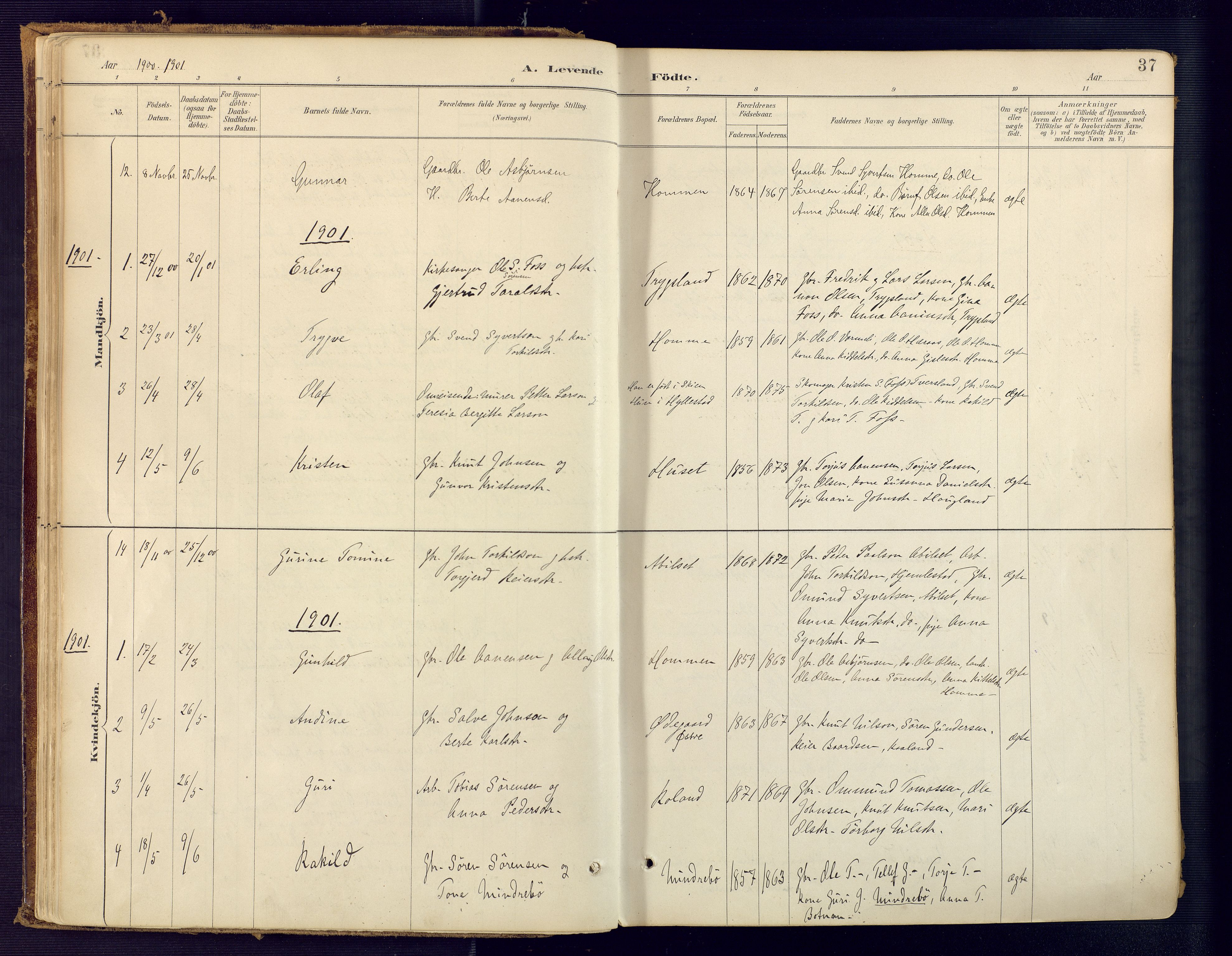 Bjelland sokneprestkontor, SAK/1111-0005/F/Fa/Faa/L0004: Parish register (official) no. A 4, 1887-1923, p. 37